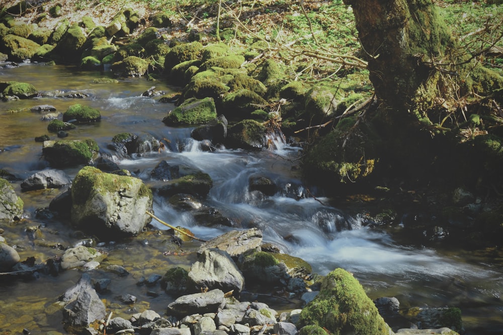 a stream of water flowing through rocks