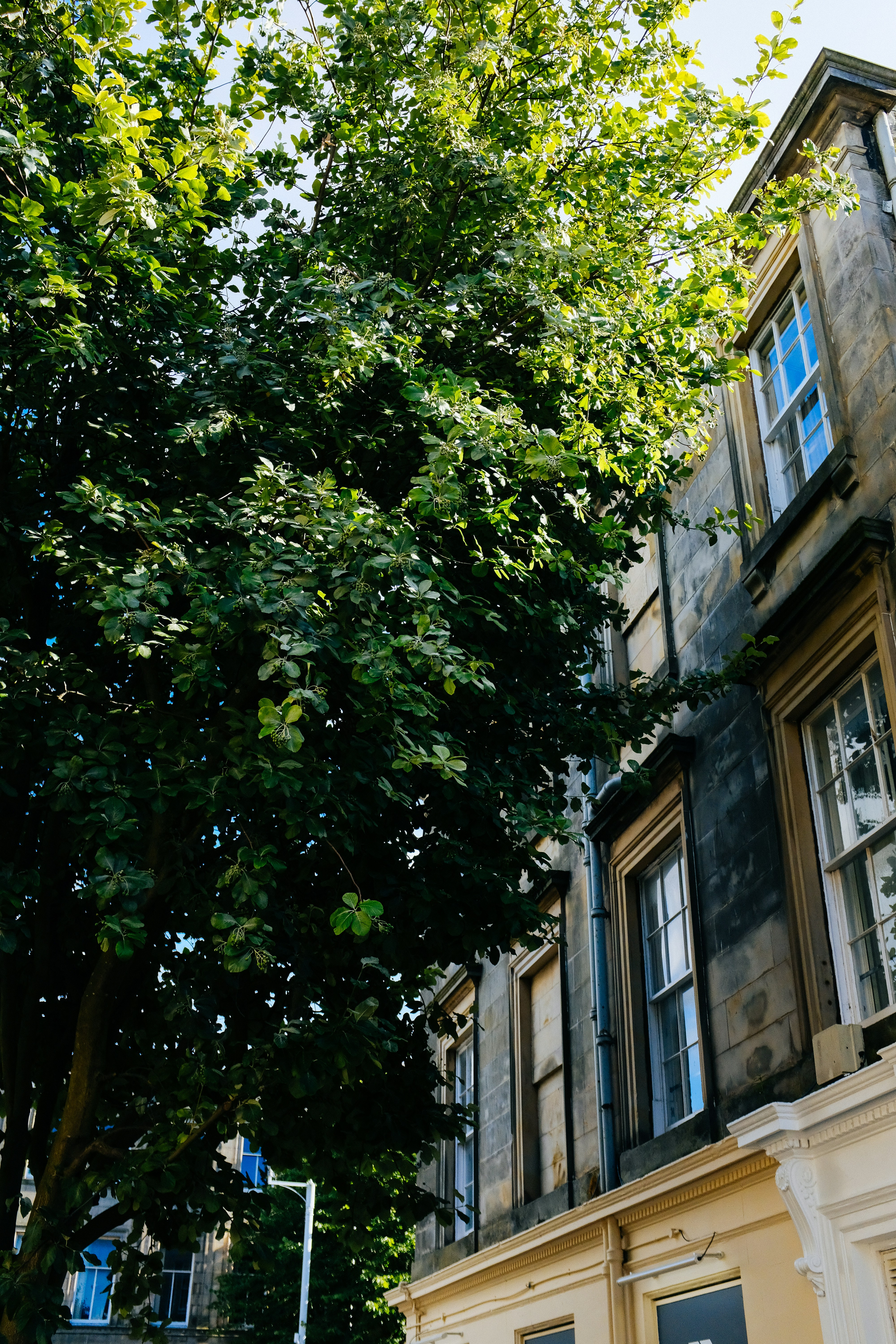 Photo by adrienolichon