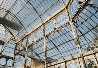 a large glass ceiling with many windows