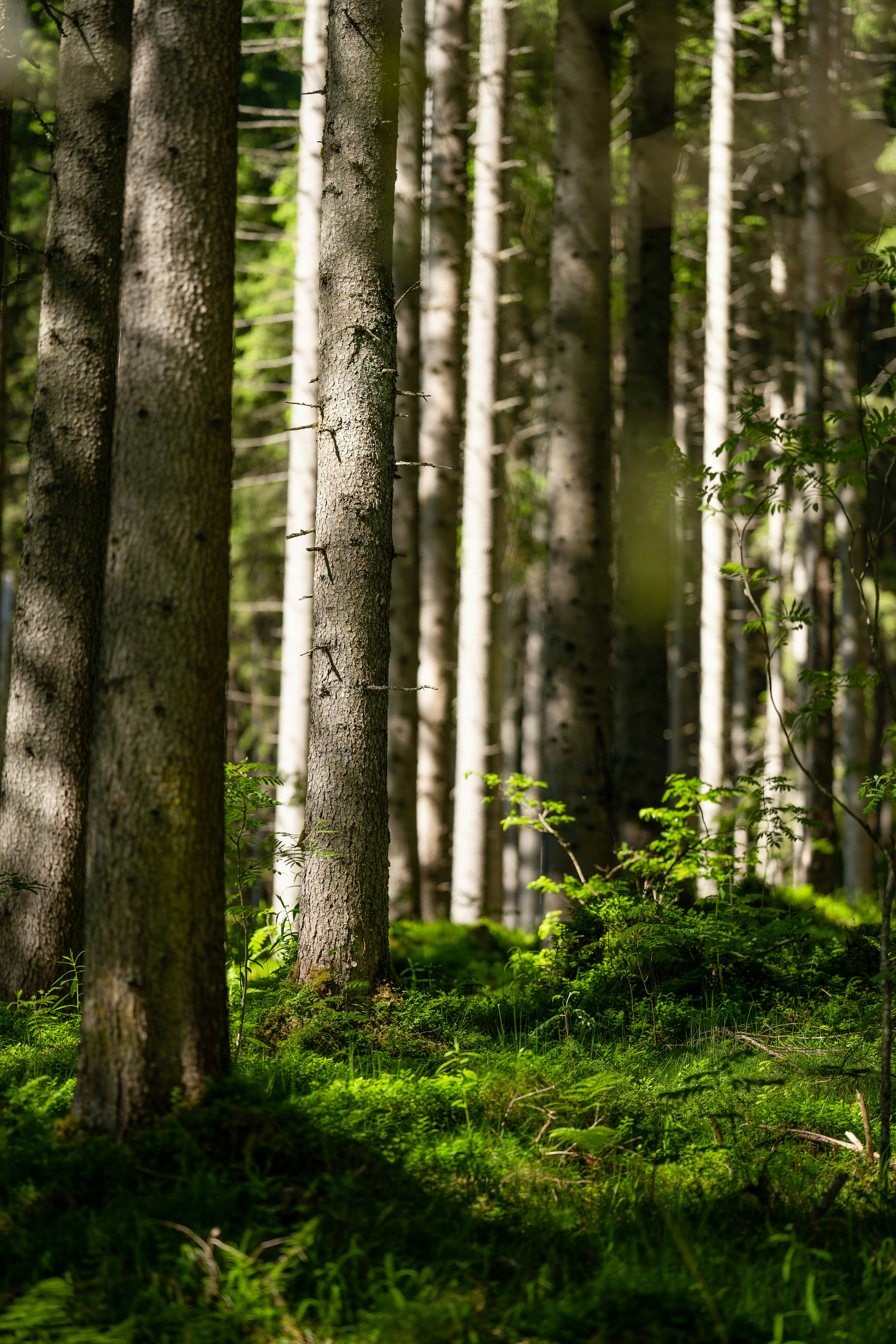 Photo by omarvellous14