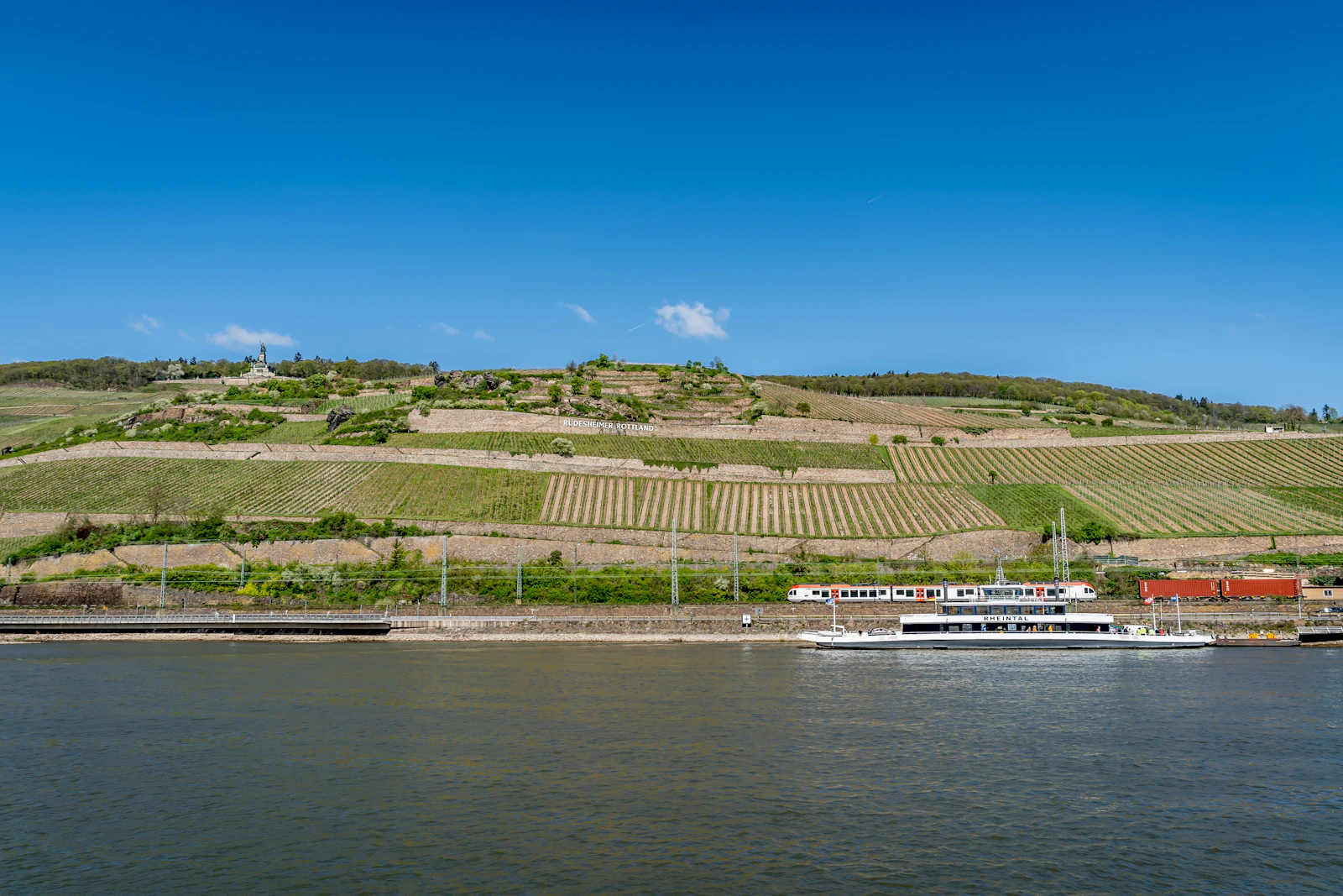 Rhine Valley Day Trip from Frankfurt with Cruise and Lunch