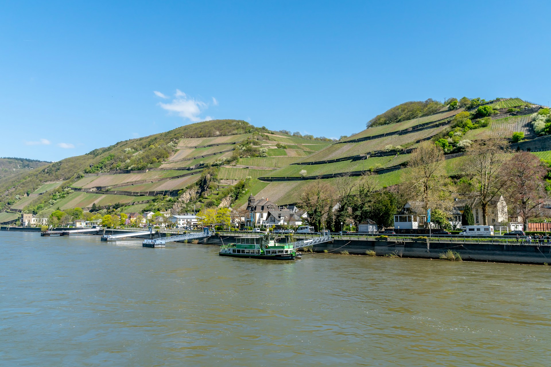 gray computer monitor