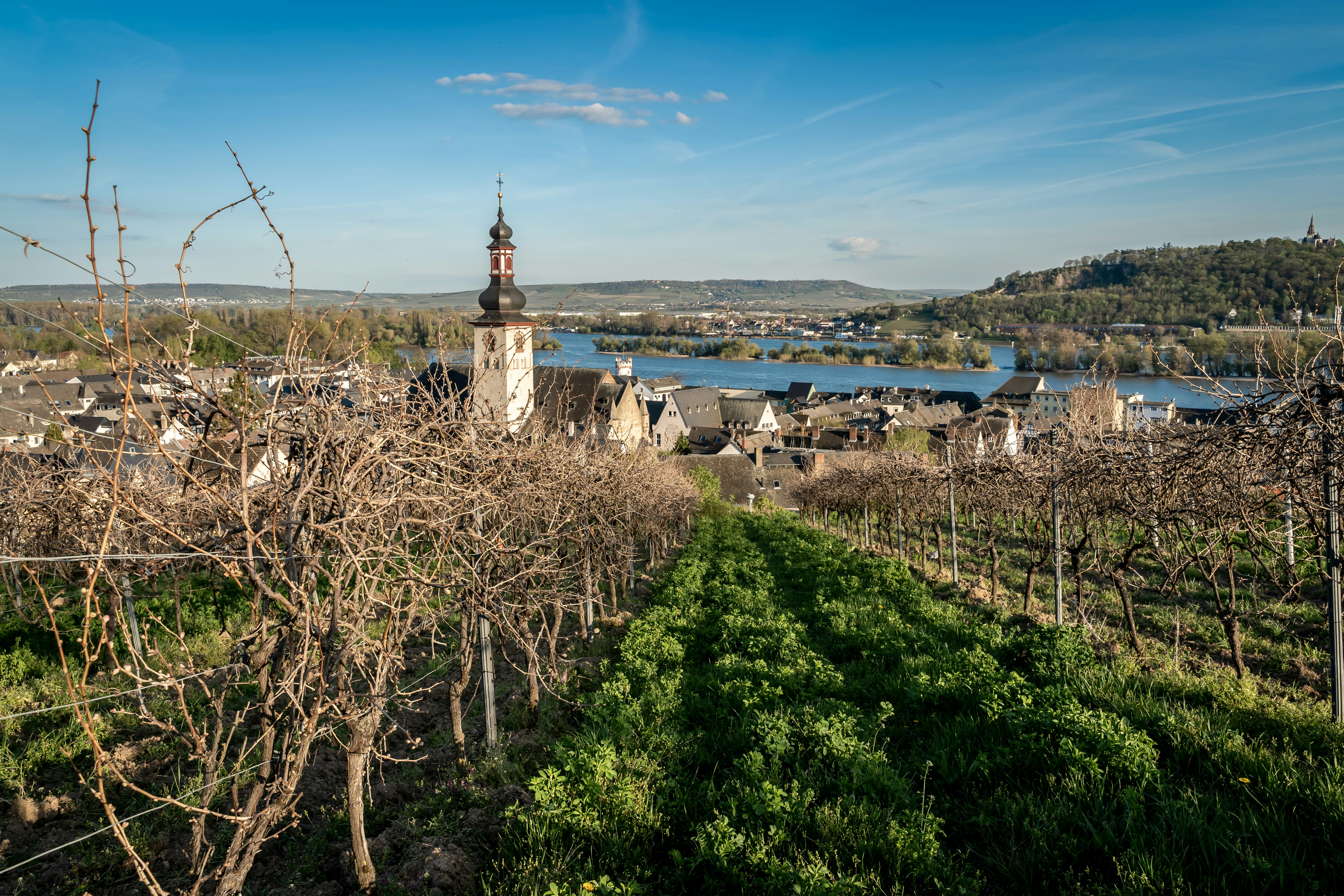 Rudesheim