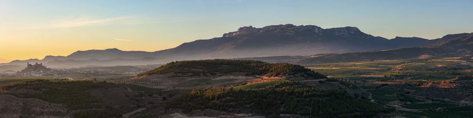 Rioja vineyard landscape