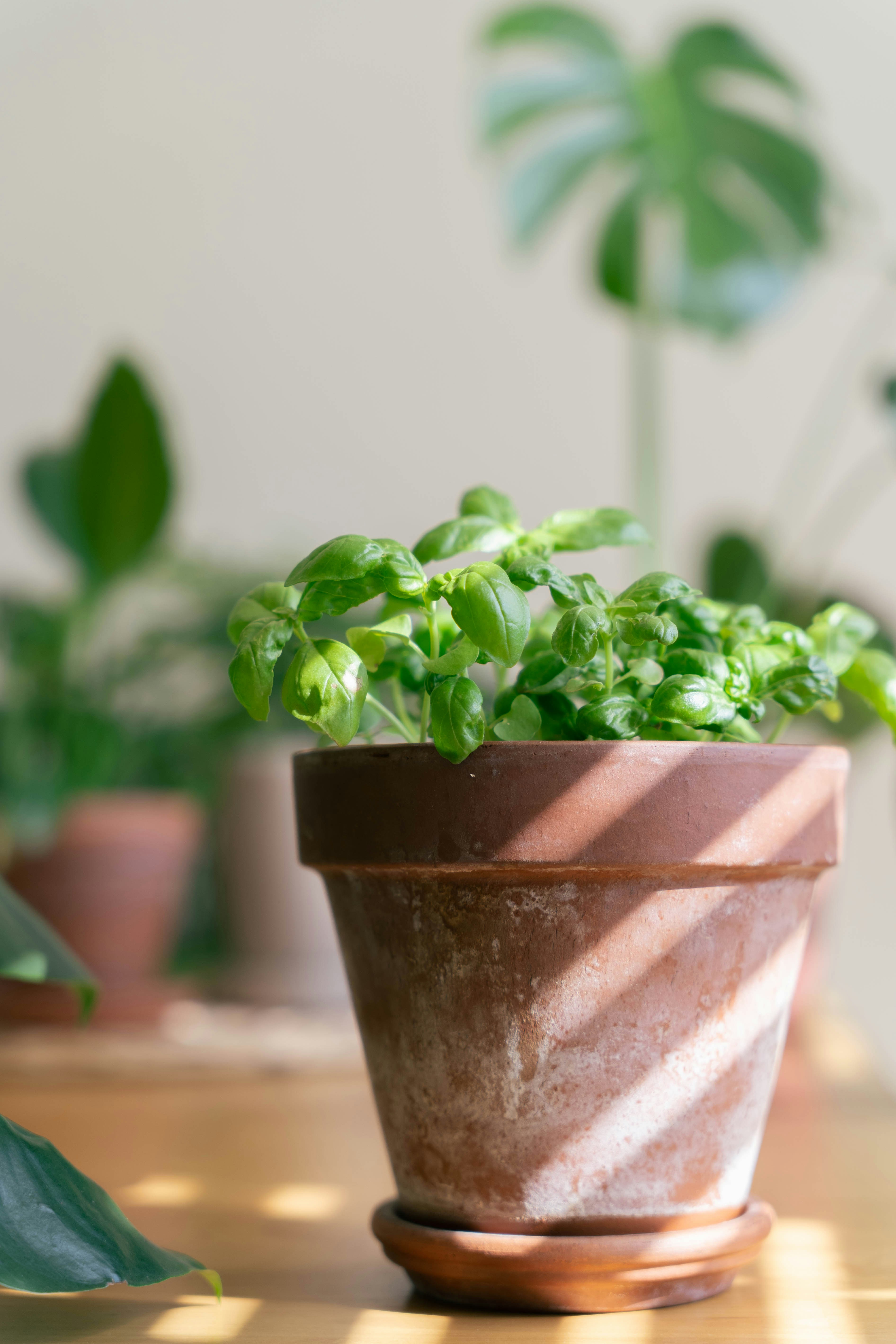 Photo by sunnynguyen