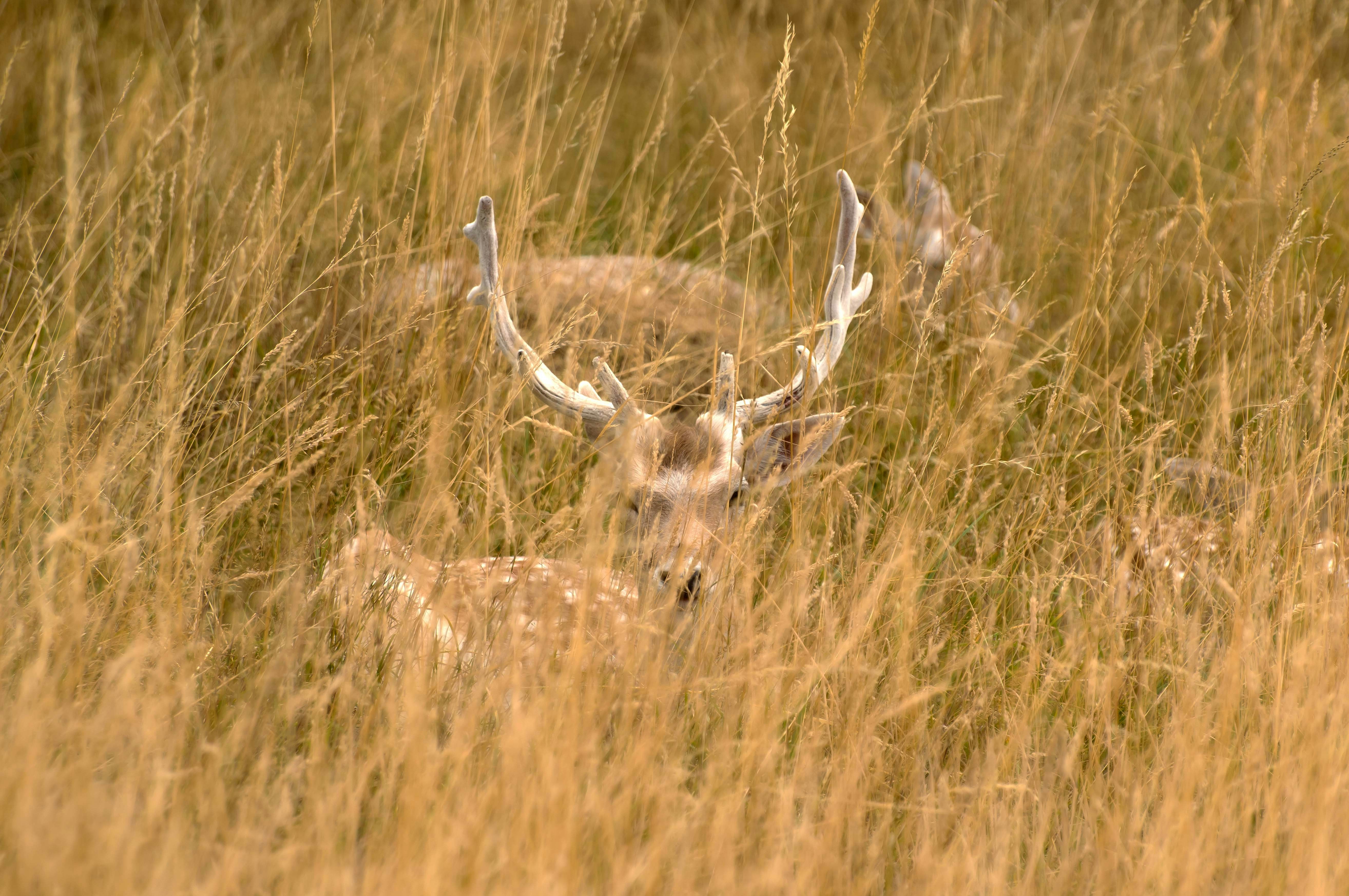 Photo by ruthiegledhill