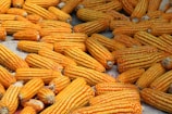 a pile of corn