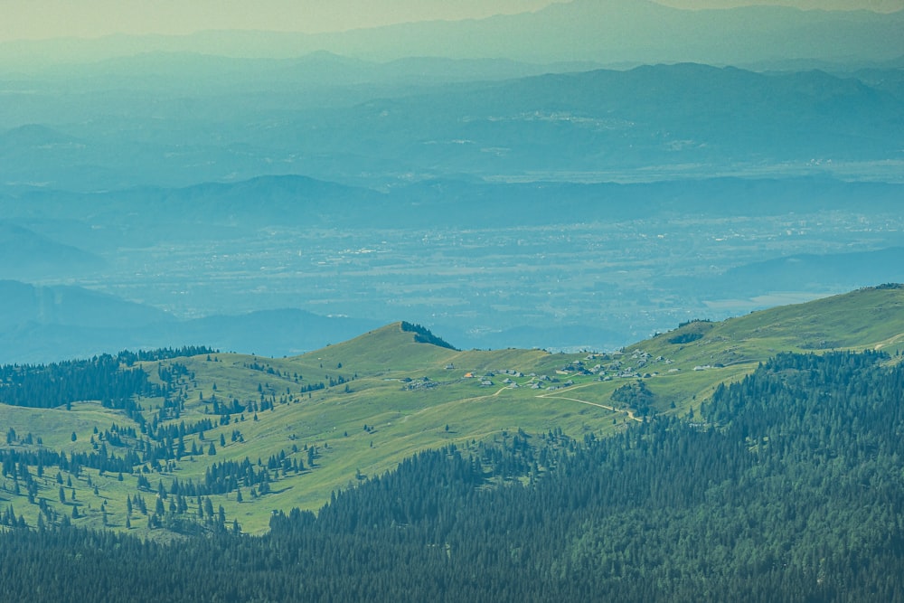 a landscape with trees and hills