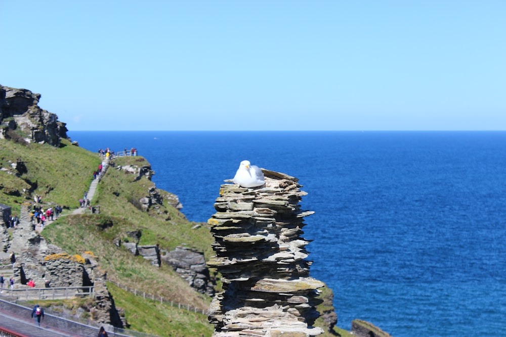 a large rock cliff with a large white bird on it by a body of water