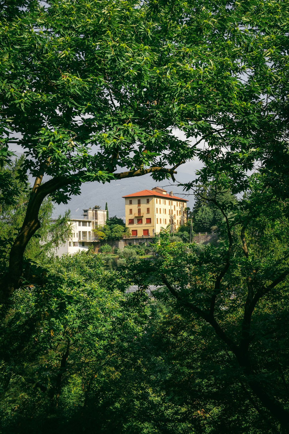 a building behind trees