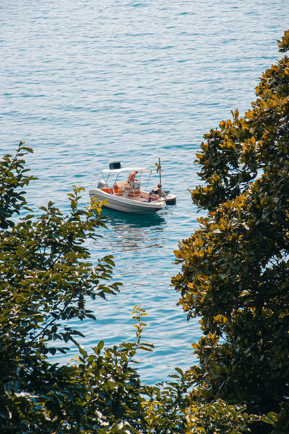 a boat sailing on the water