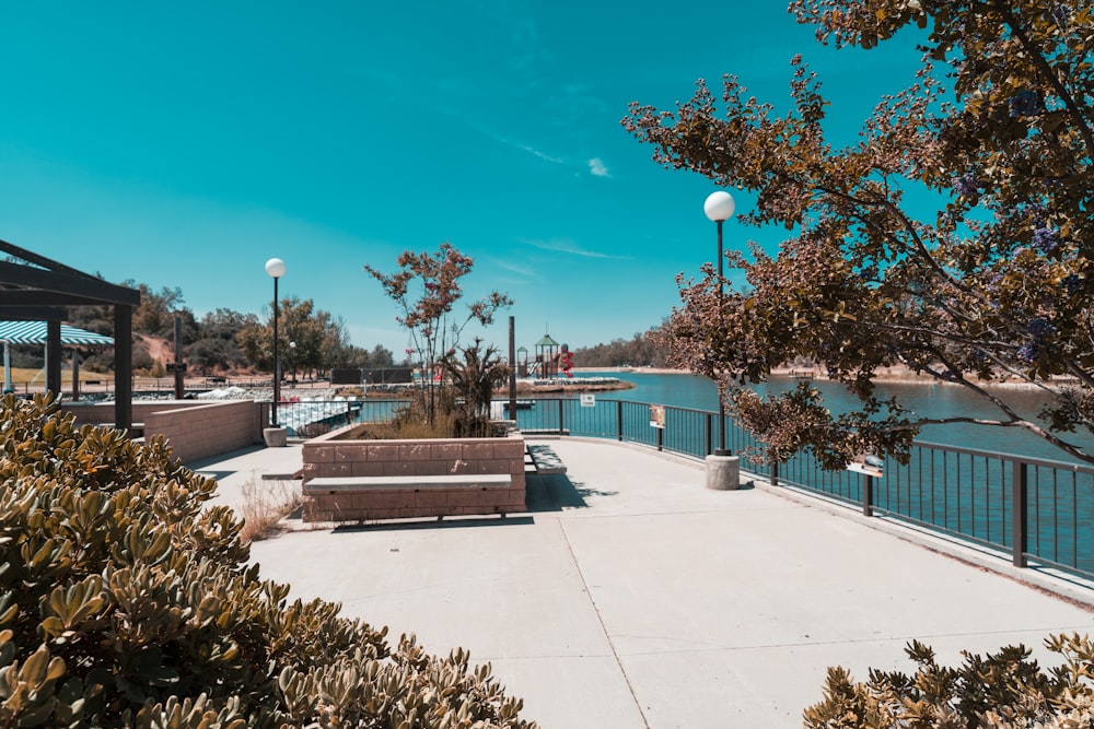 a walkway with benches and trees