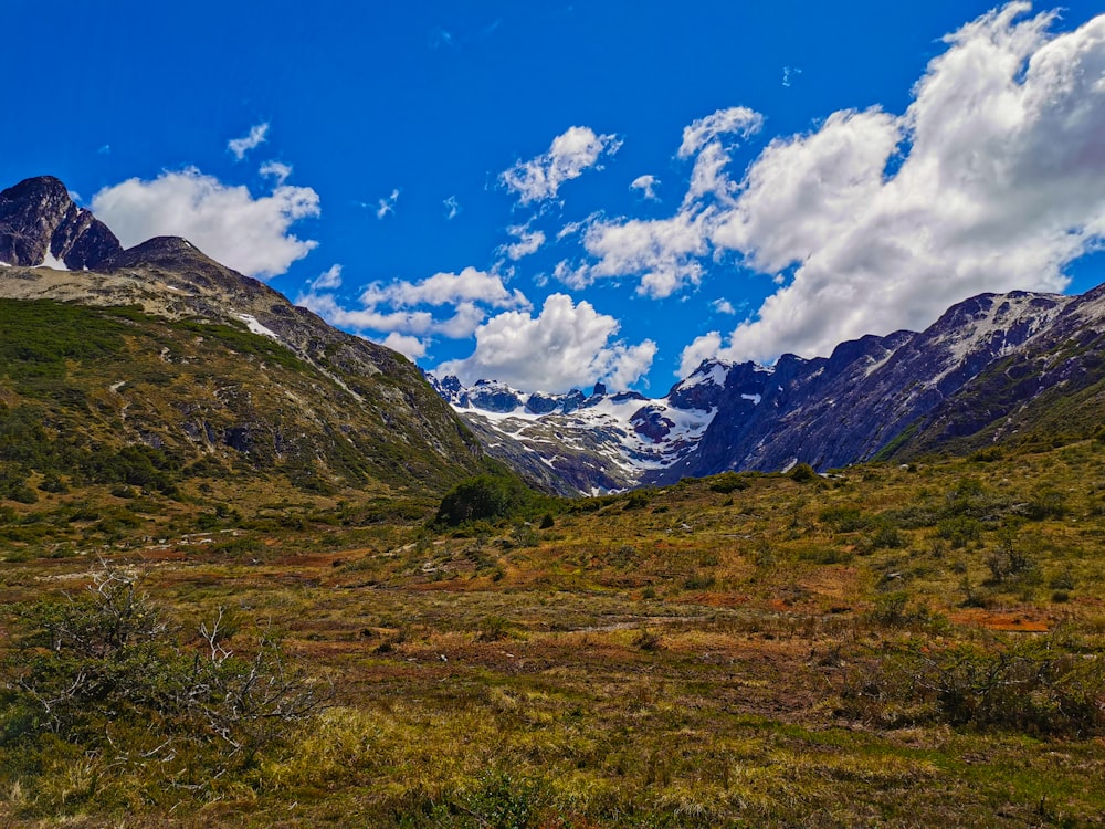 a grassy valley with mountains in the background