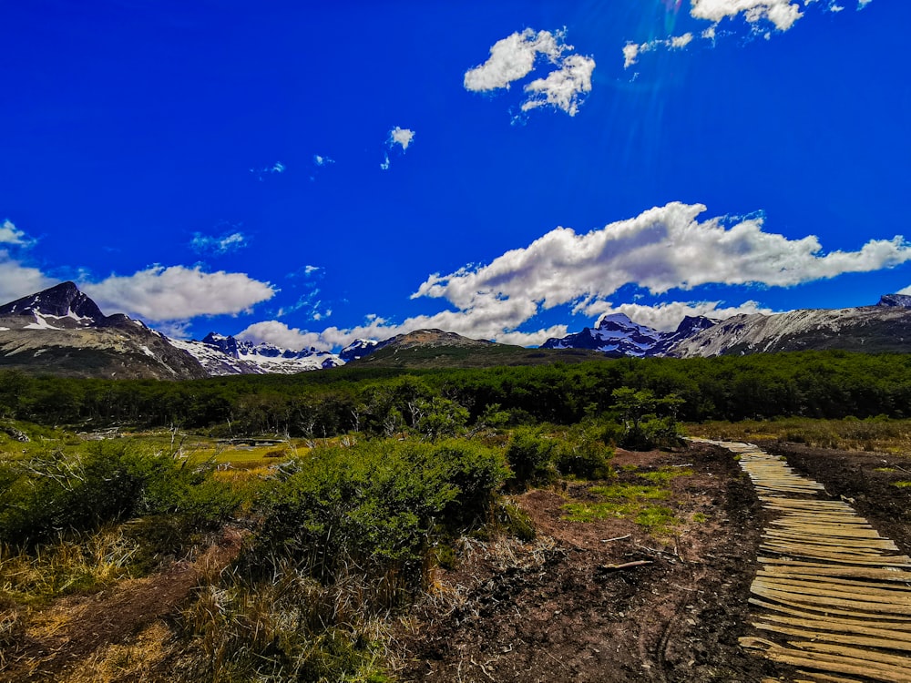 a dirt road with mountains in the background