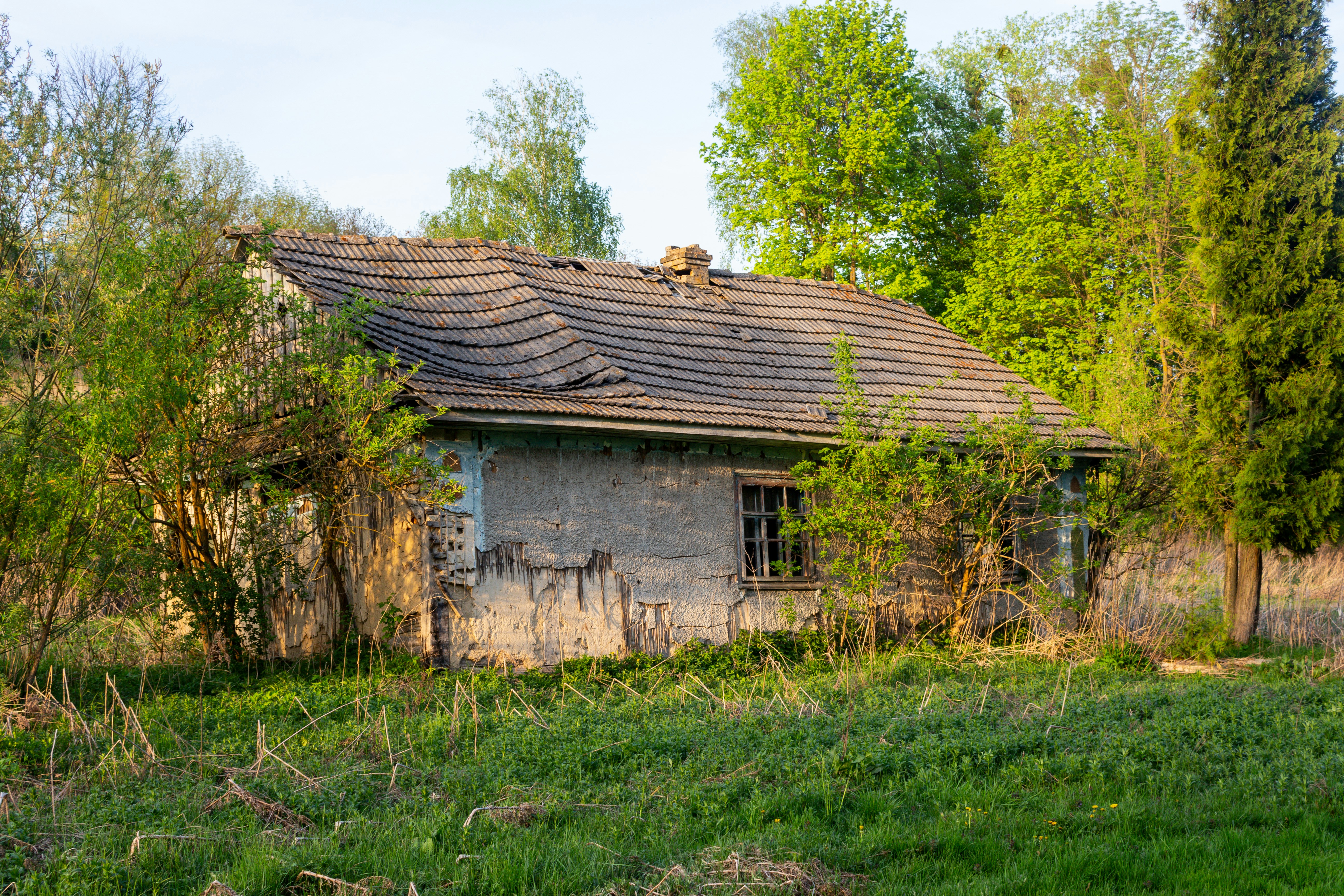 Photo by viktorsmoliak