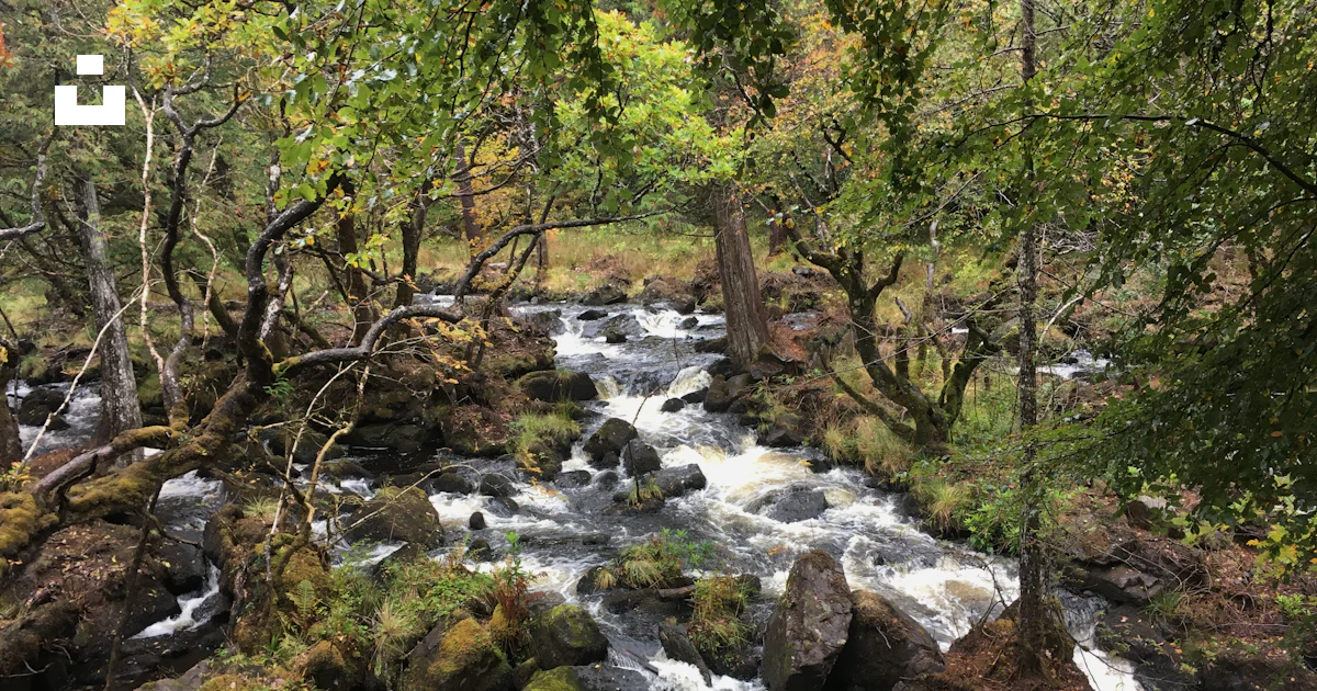 Foto Un río con rocas y árboles – Imagen Parque de aros gratis en Unsplash