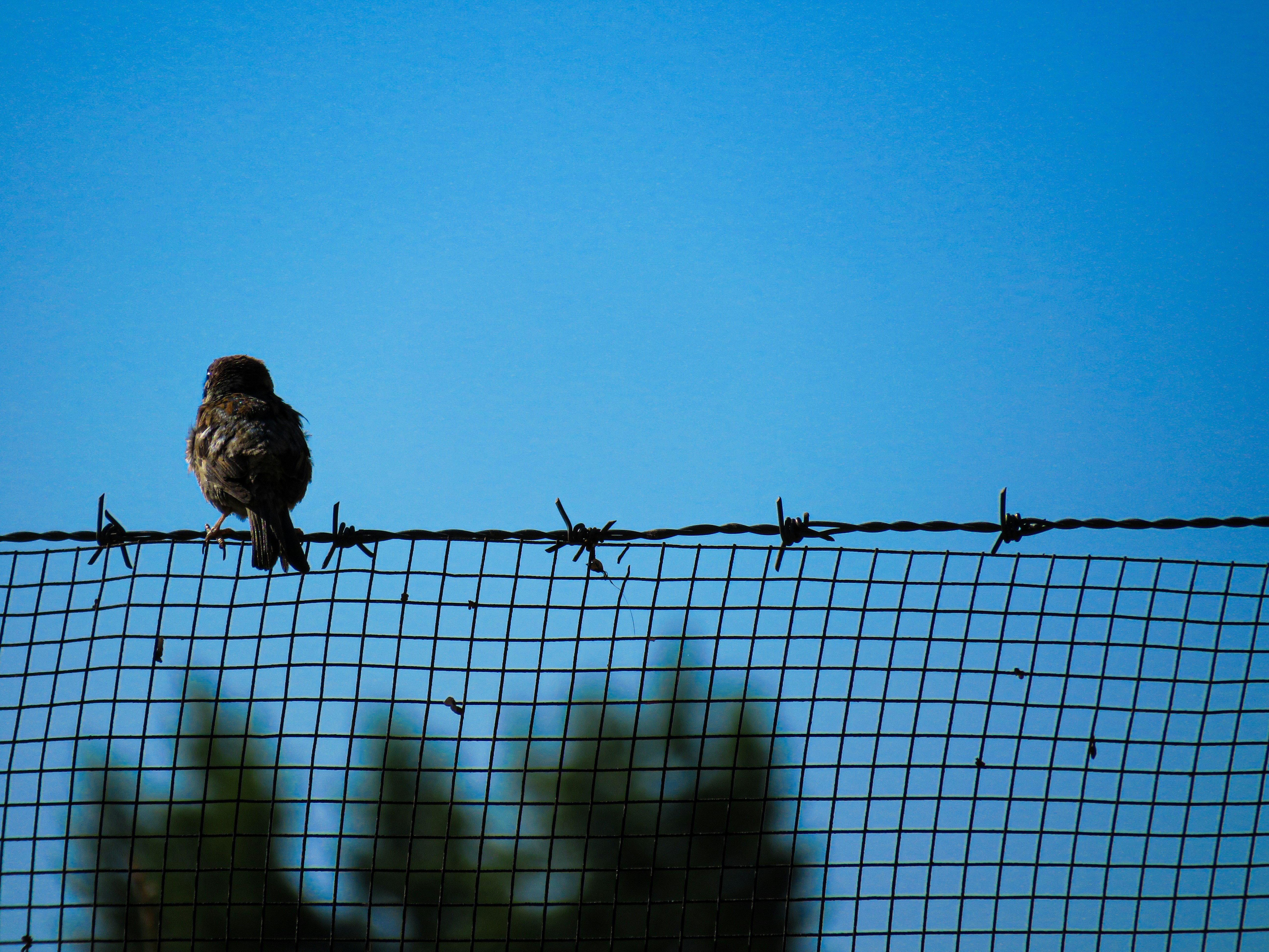 Photo by jgcachafeiro