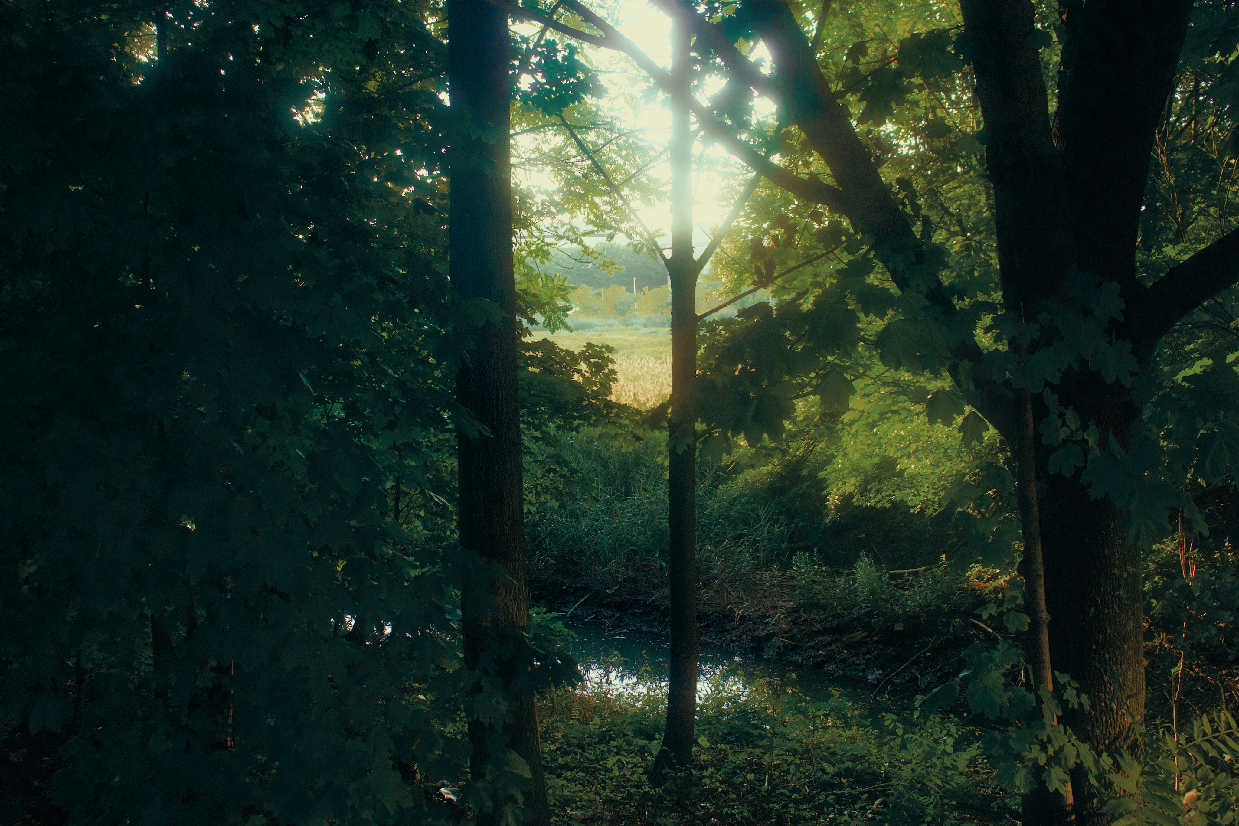 Photo by yiquanzhang