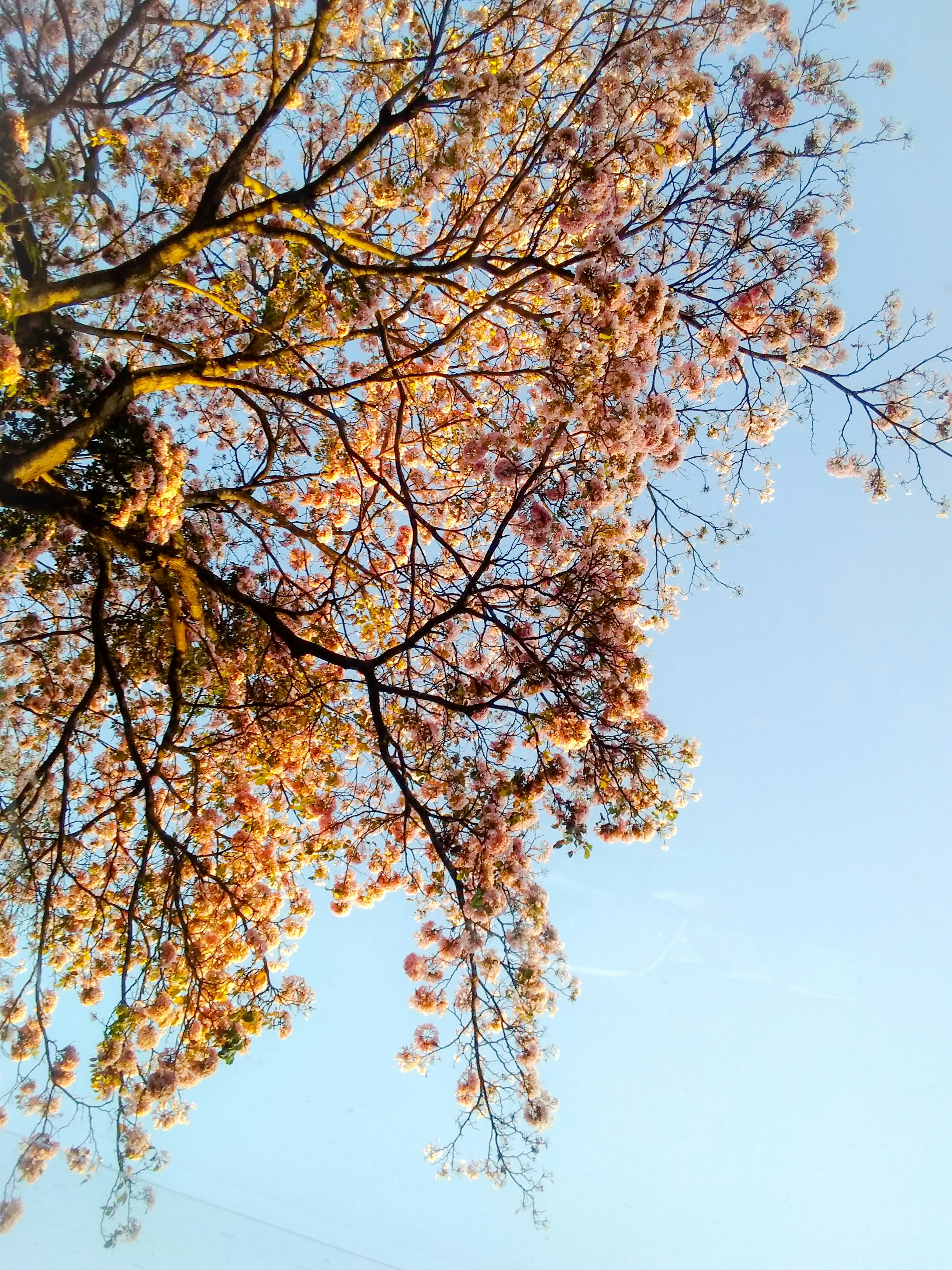 Photo by vibrugueira