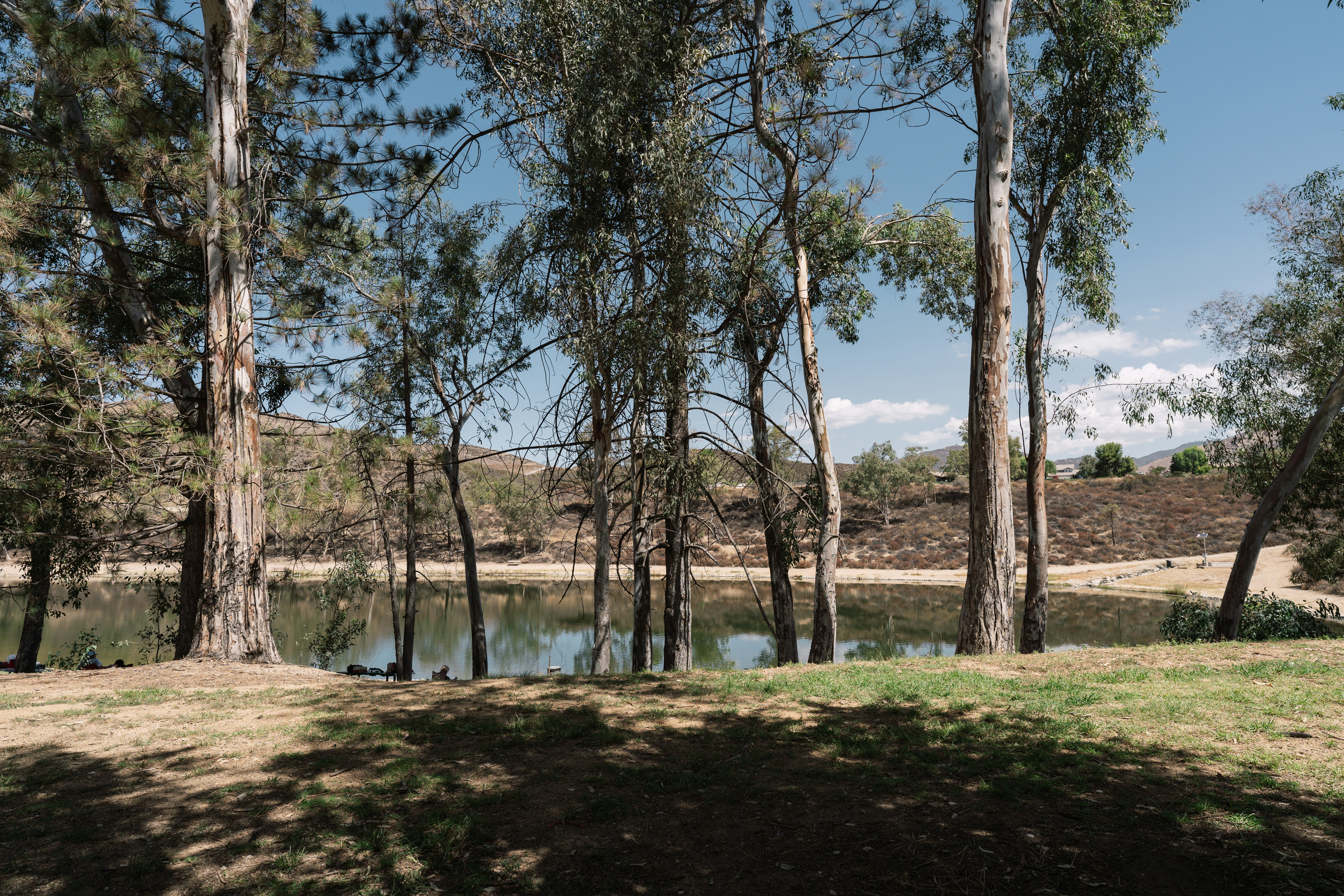 a lake surrounded by trees