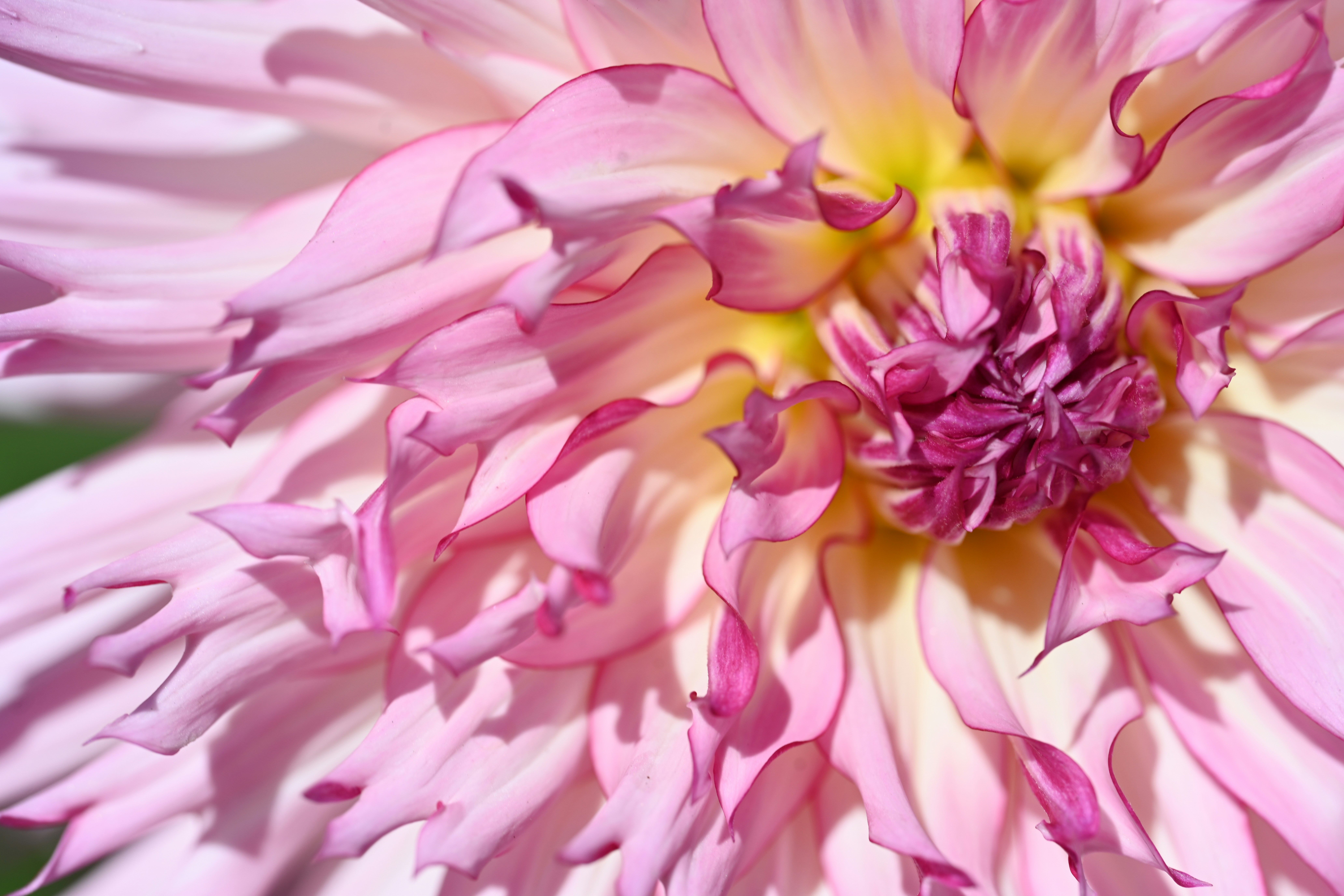 Photo by theunknownaldiaz