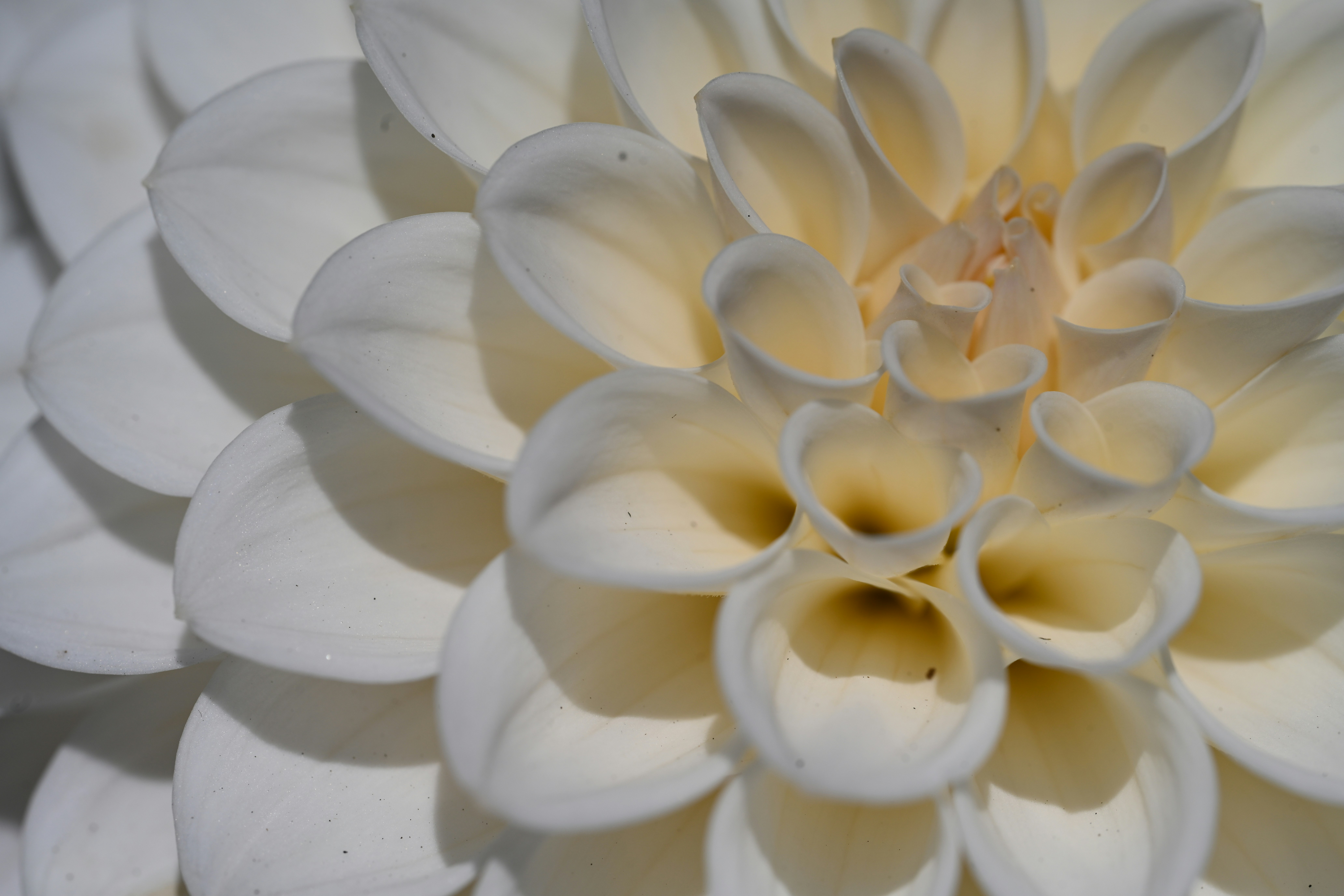 Photo by theunknownaldiaz