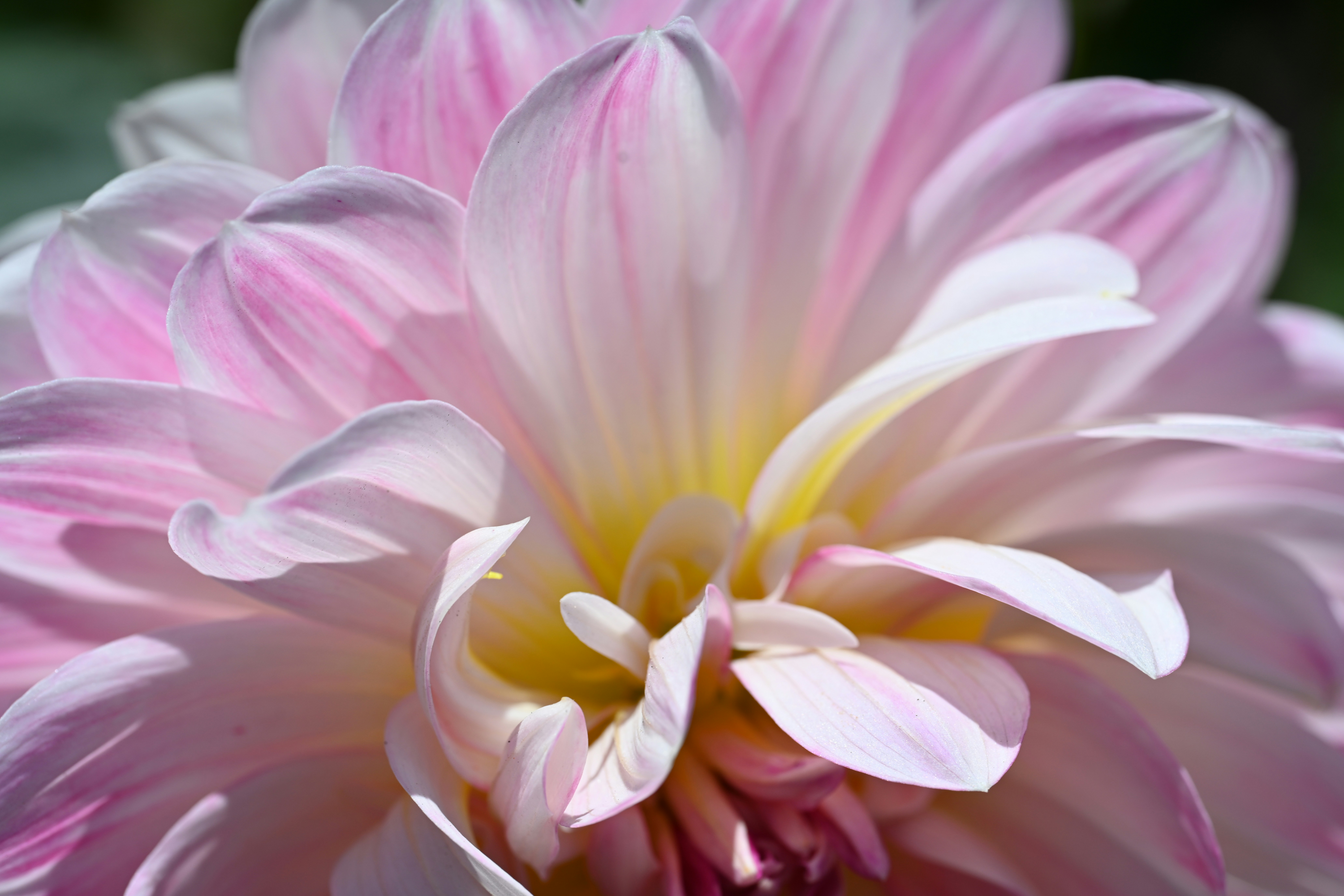 Photo by theunknownaldiaz