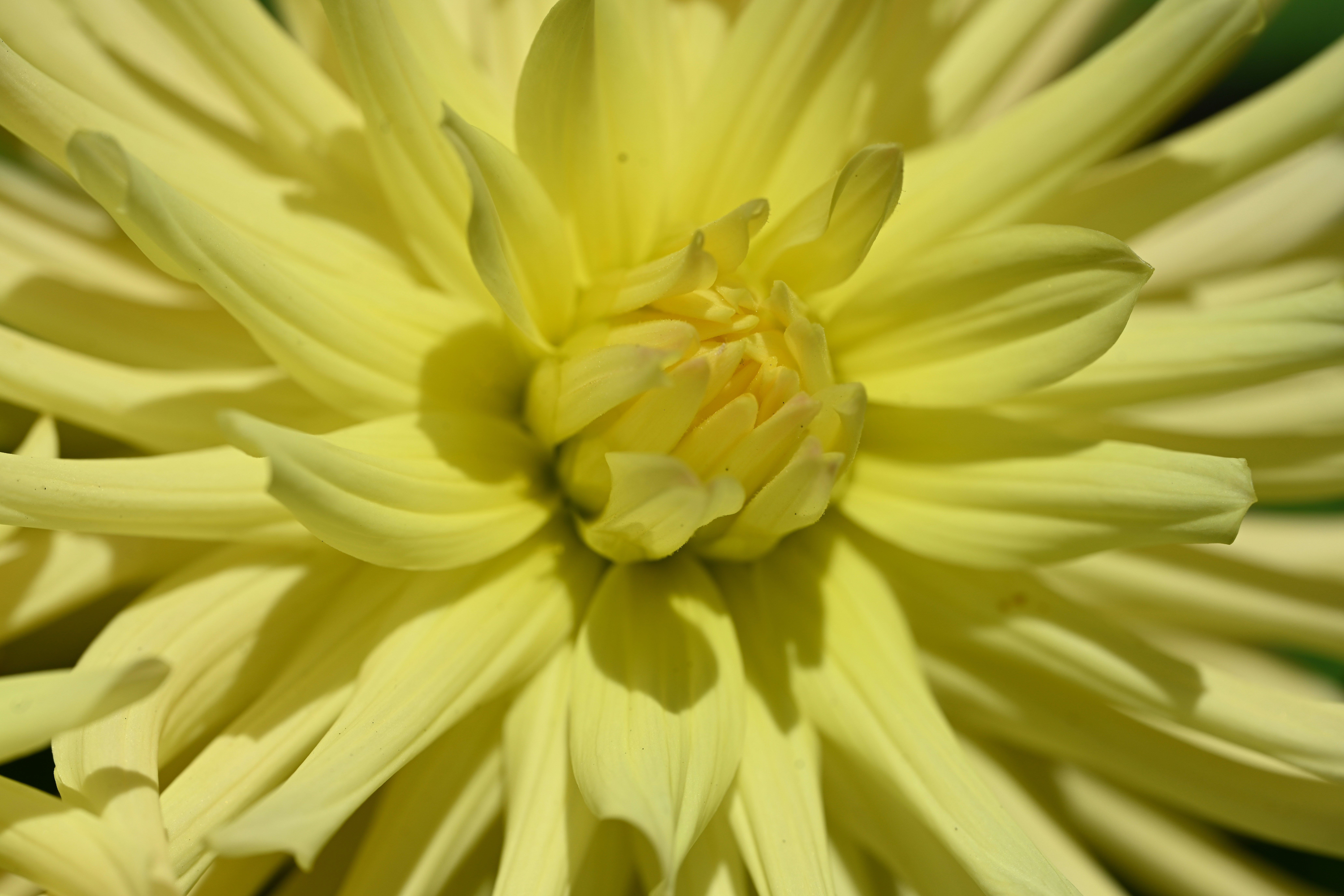 Photo by theunknownaldiaz