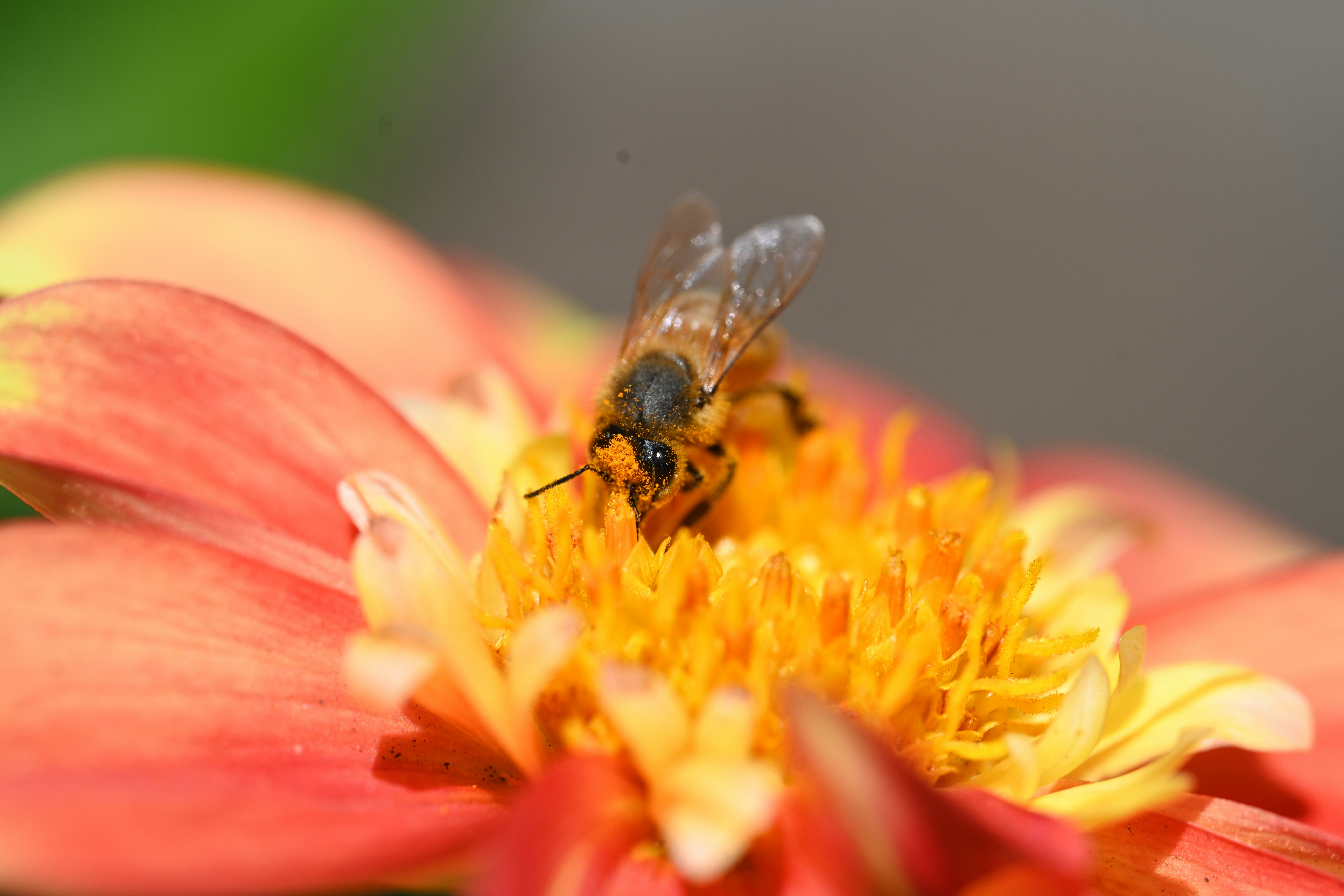 Photo by theunknownaldiaz