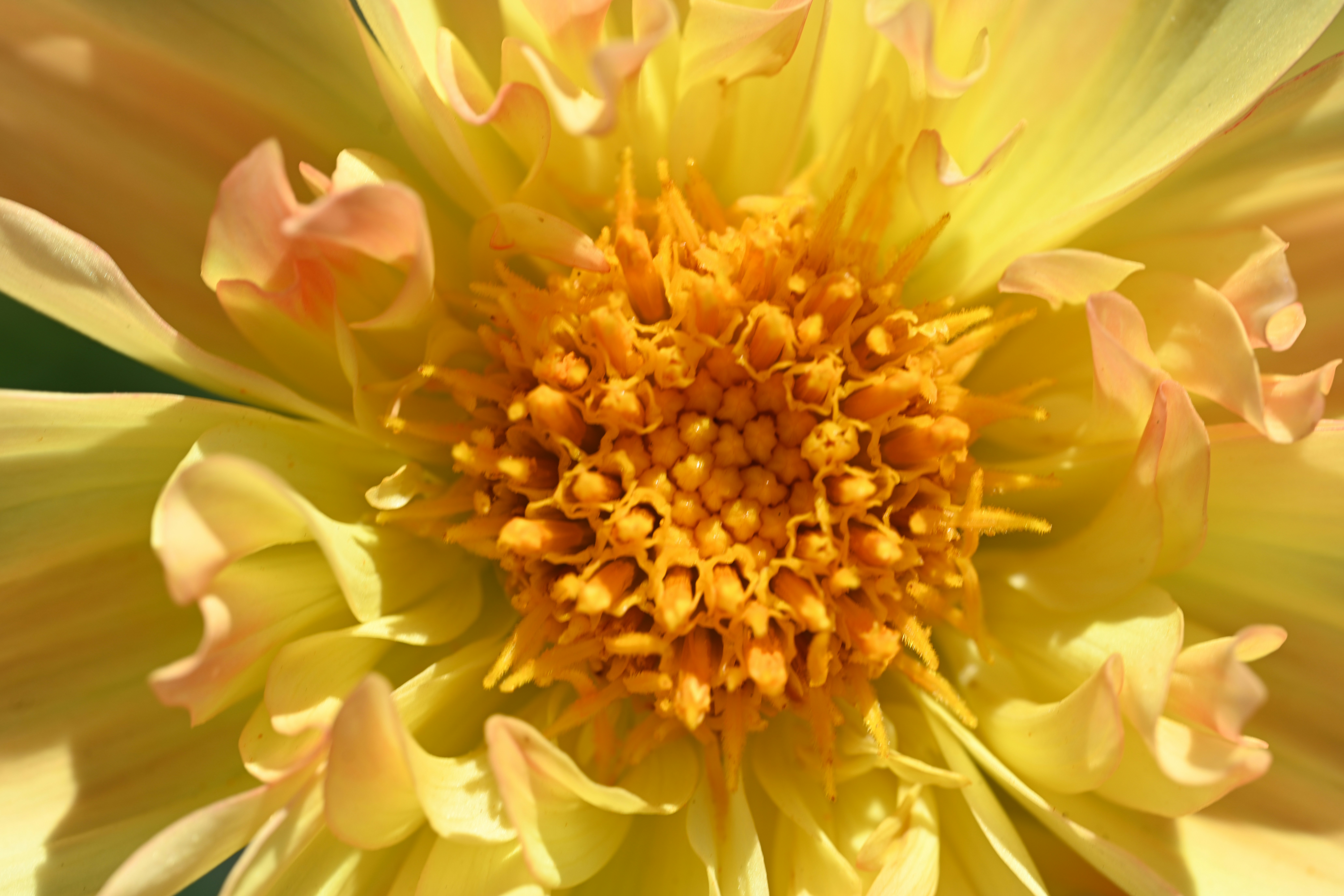 Photo by theunknownaldiaz