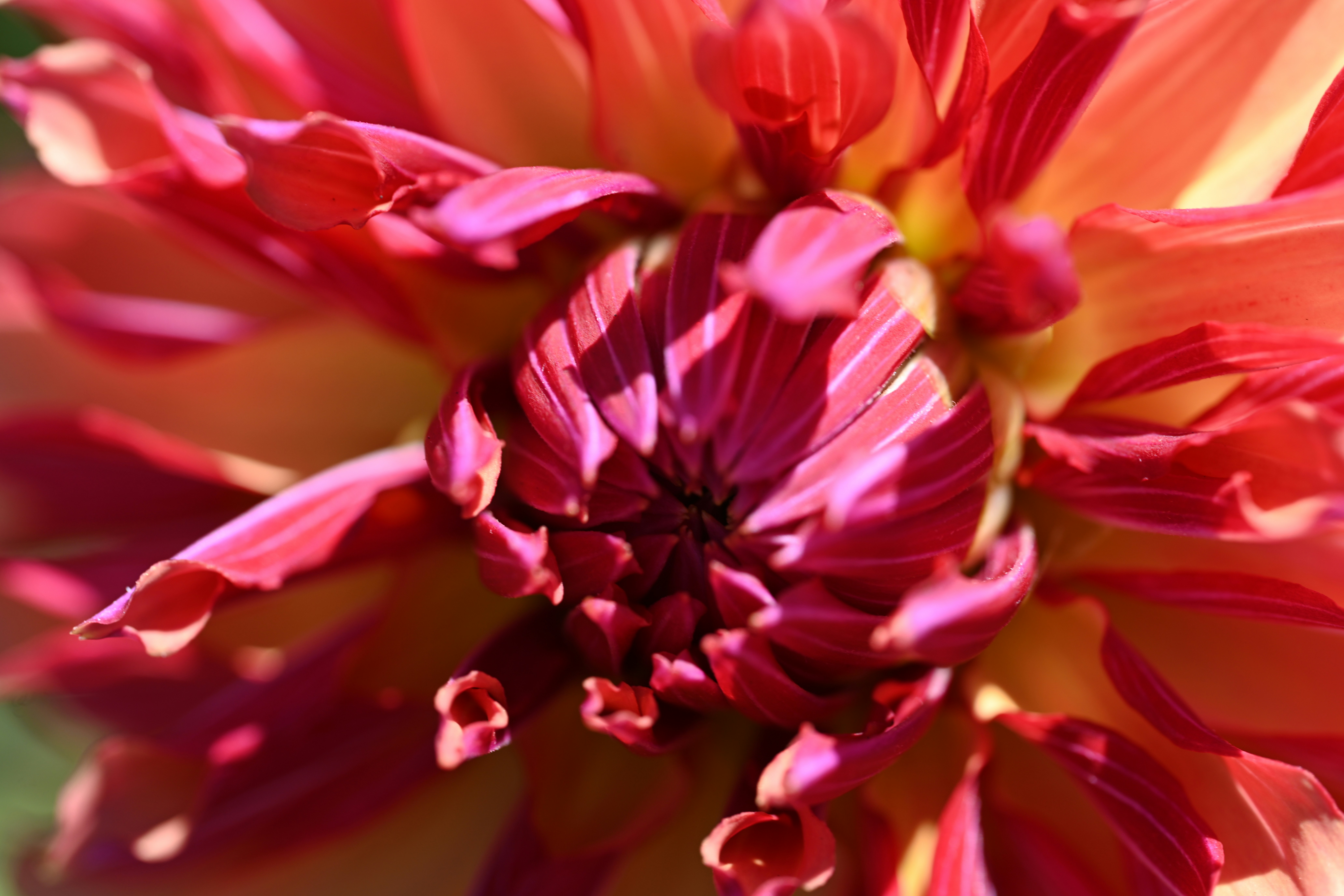 Photo by theunknownaldiaz