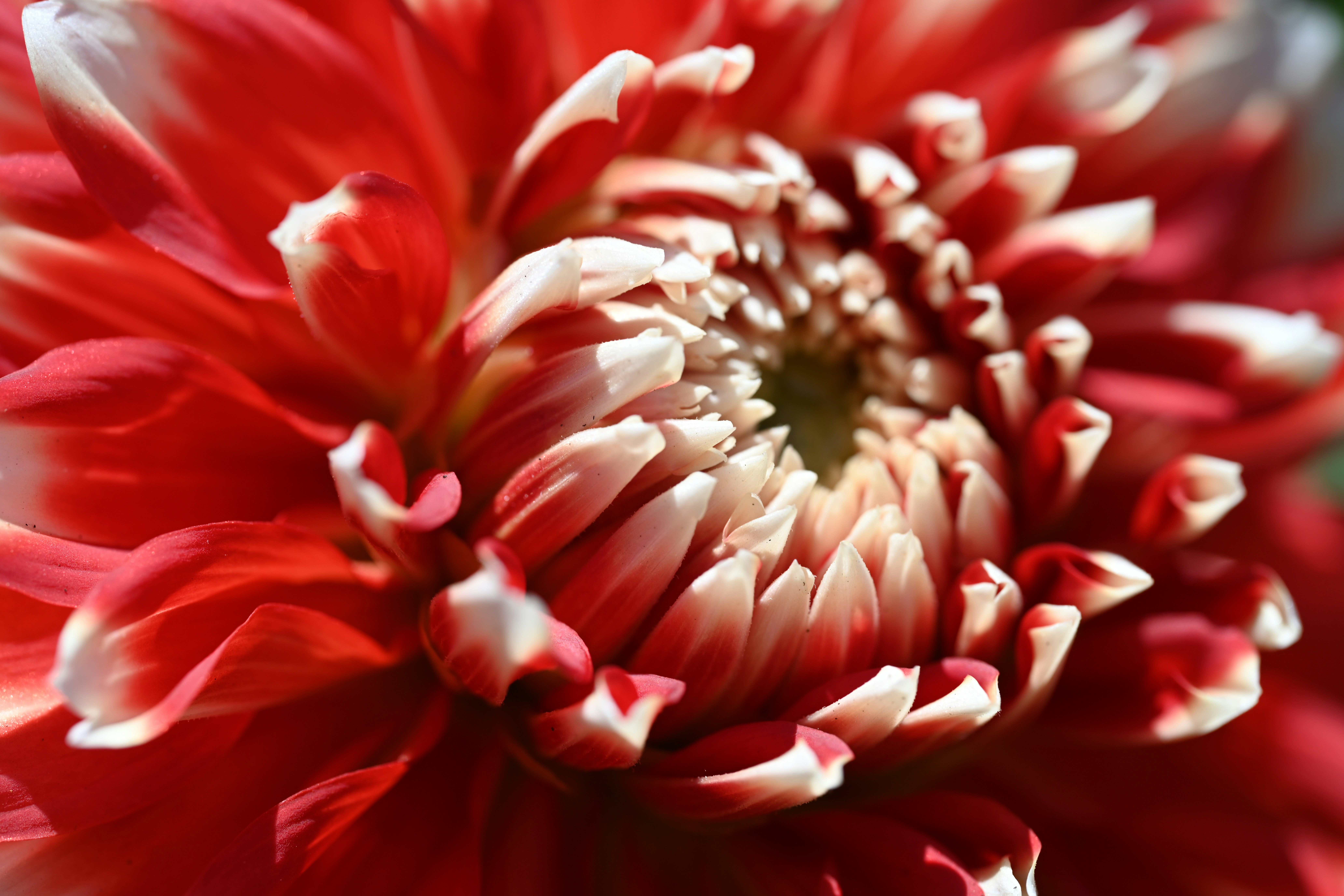 Photo by theunknownaldiaz