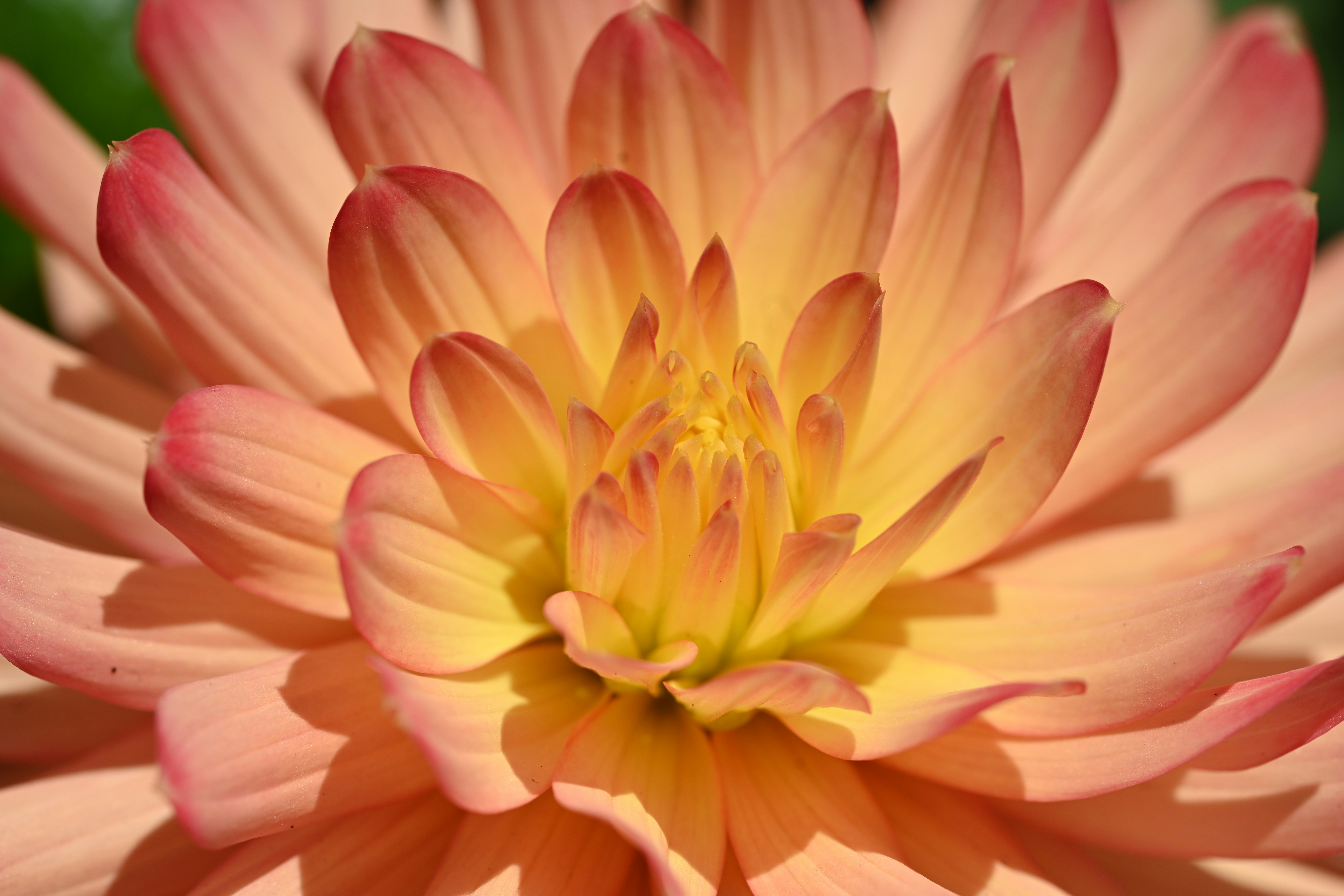 Photo by theunknownaldiaz