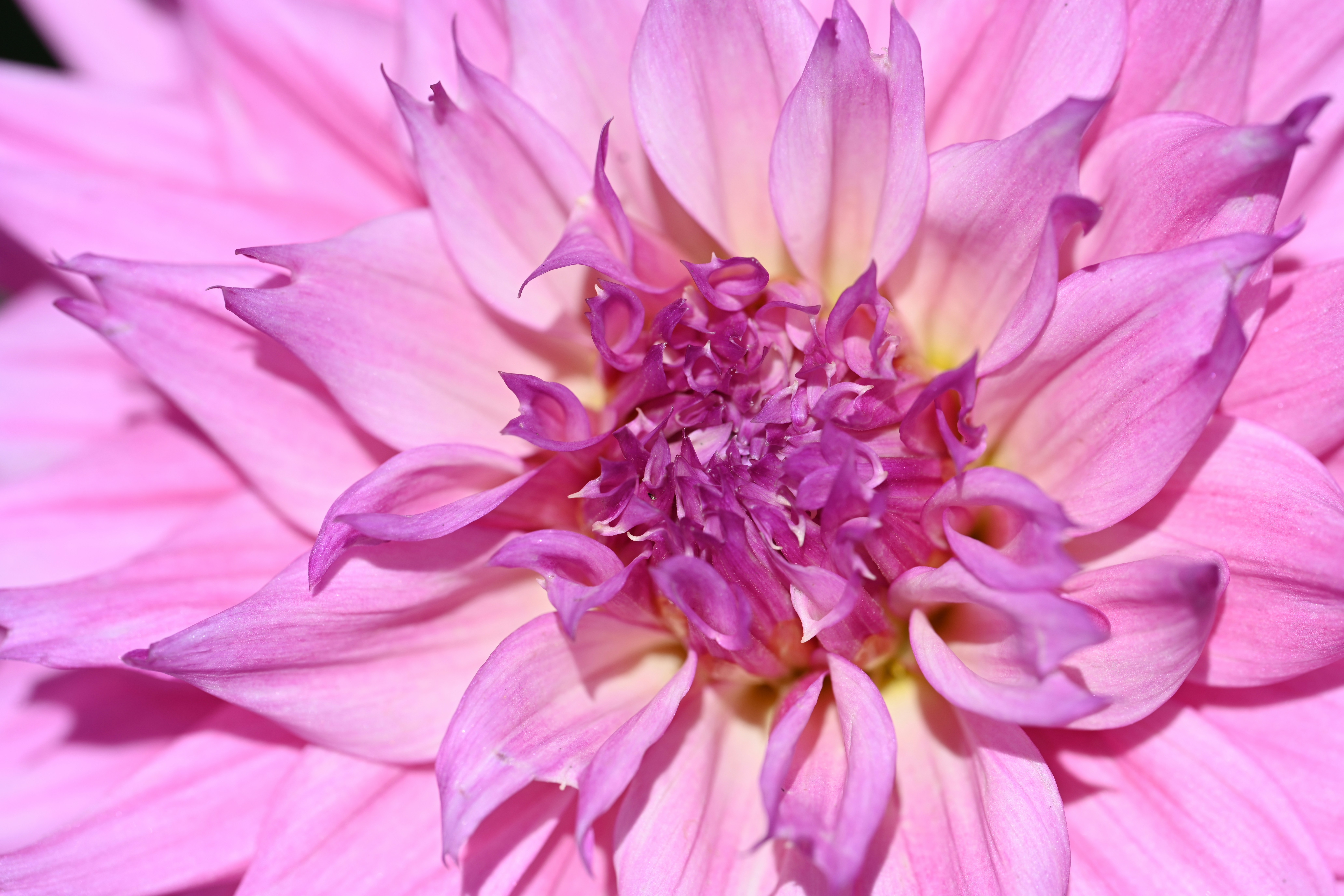 Photo by theunknownaldiaz