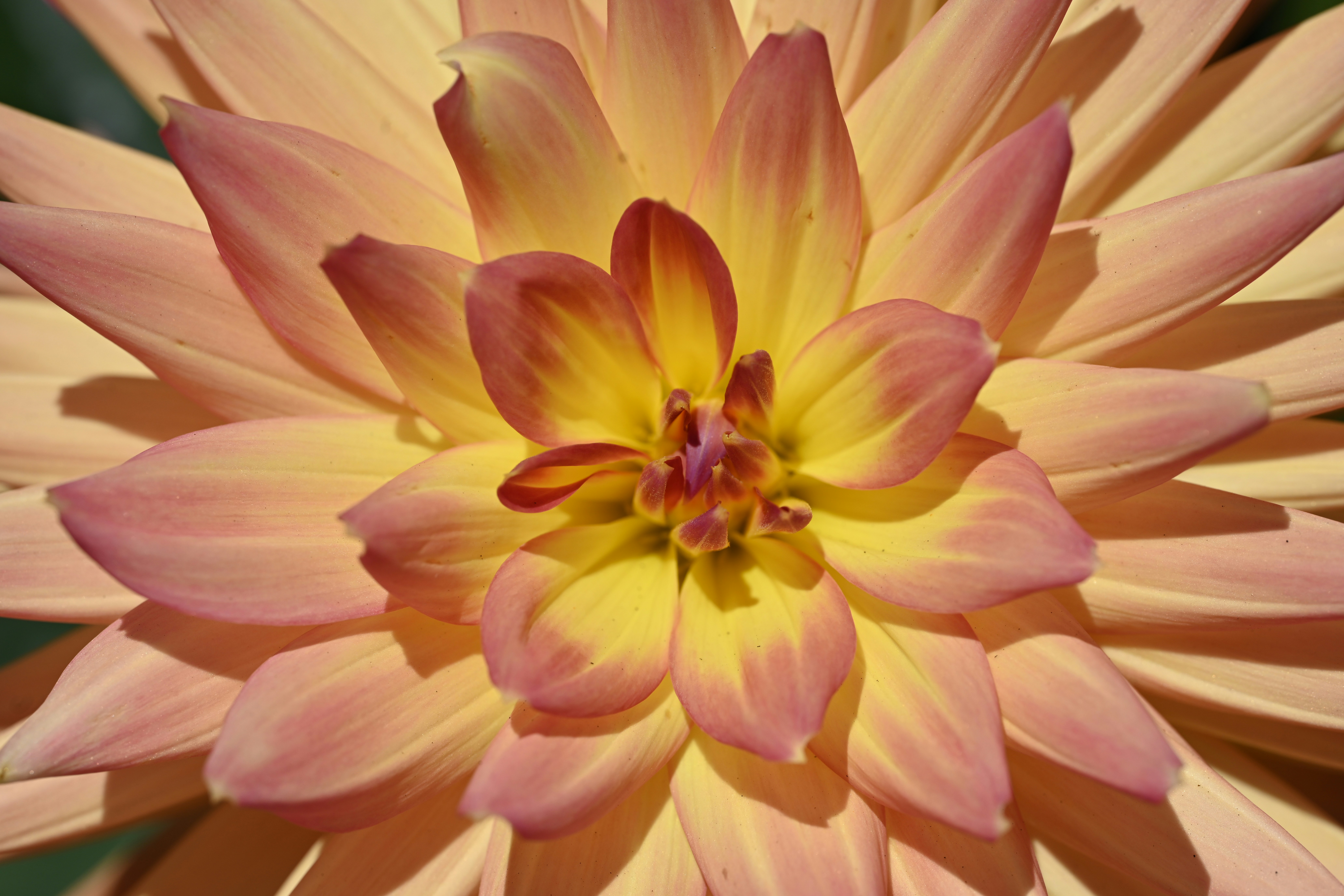 Photo by theunknownaldiaz