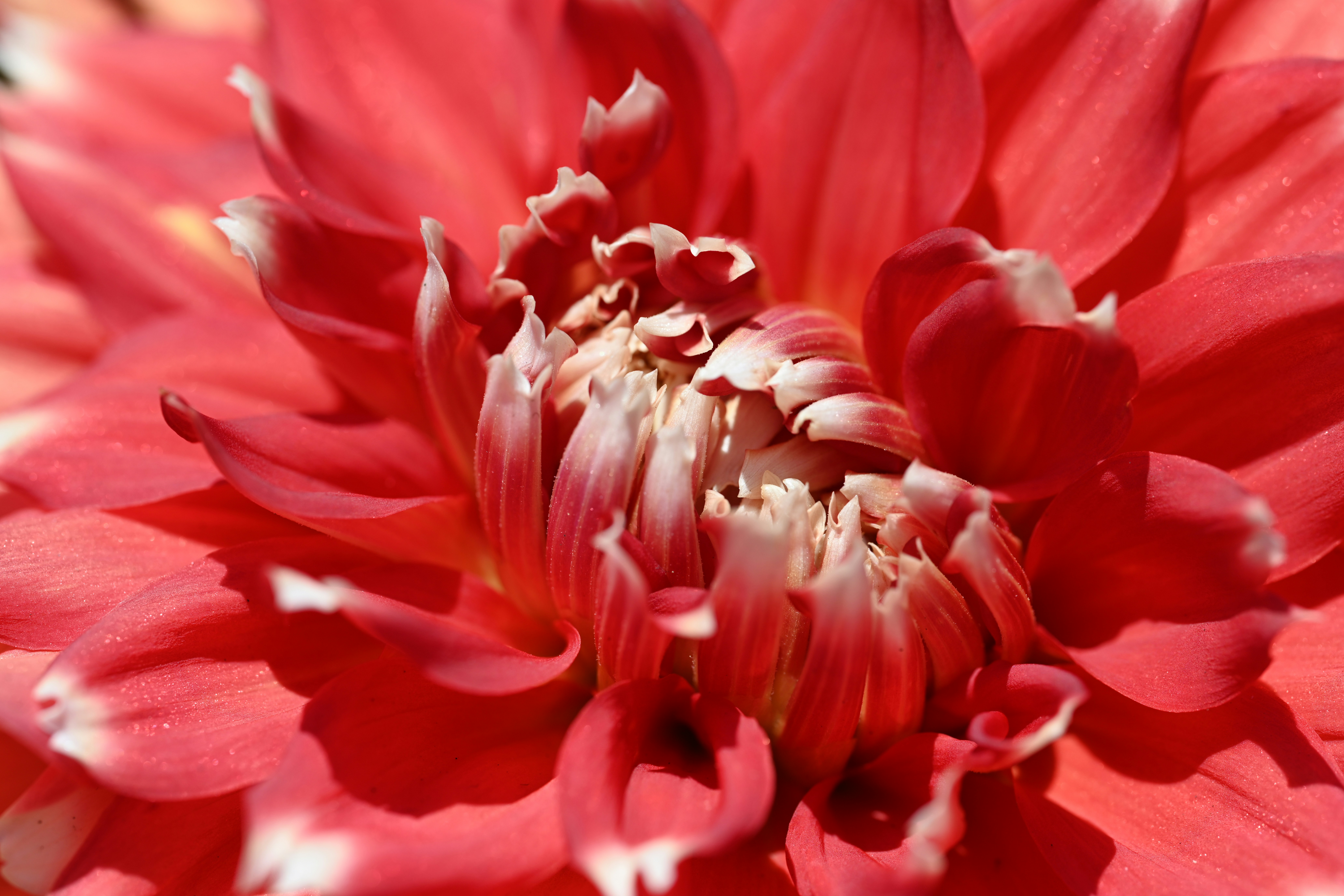 Photo by theunknownaldiaz