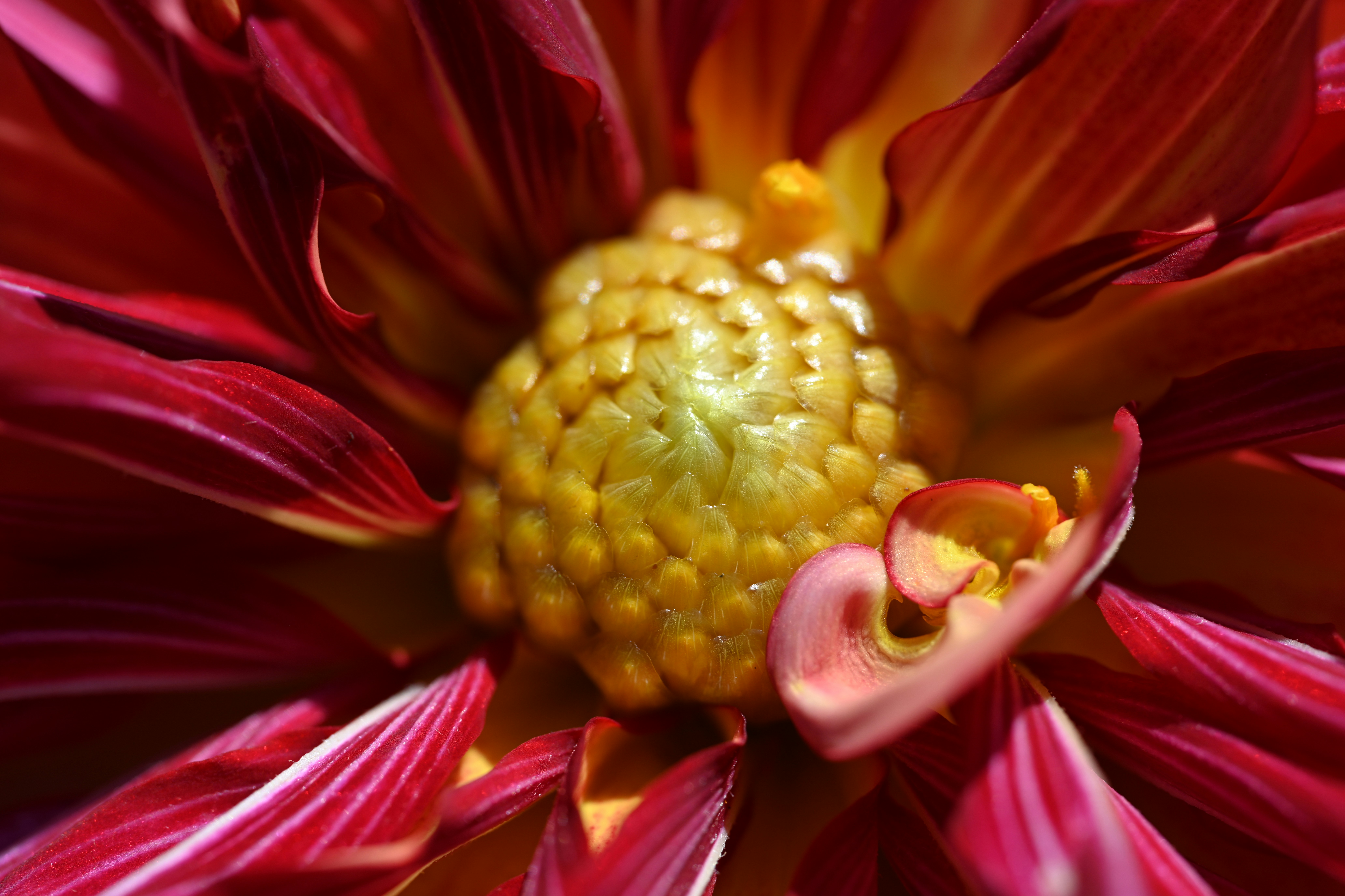 Photo by theunknownaldiaz