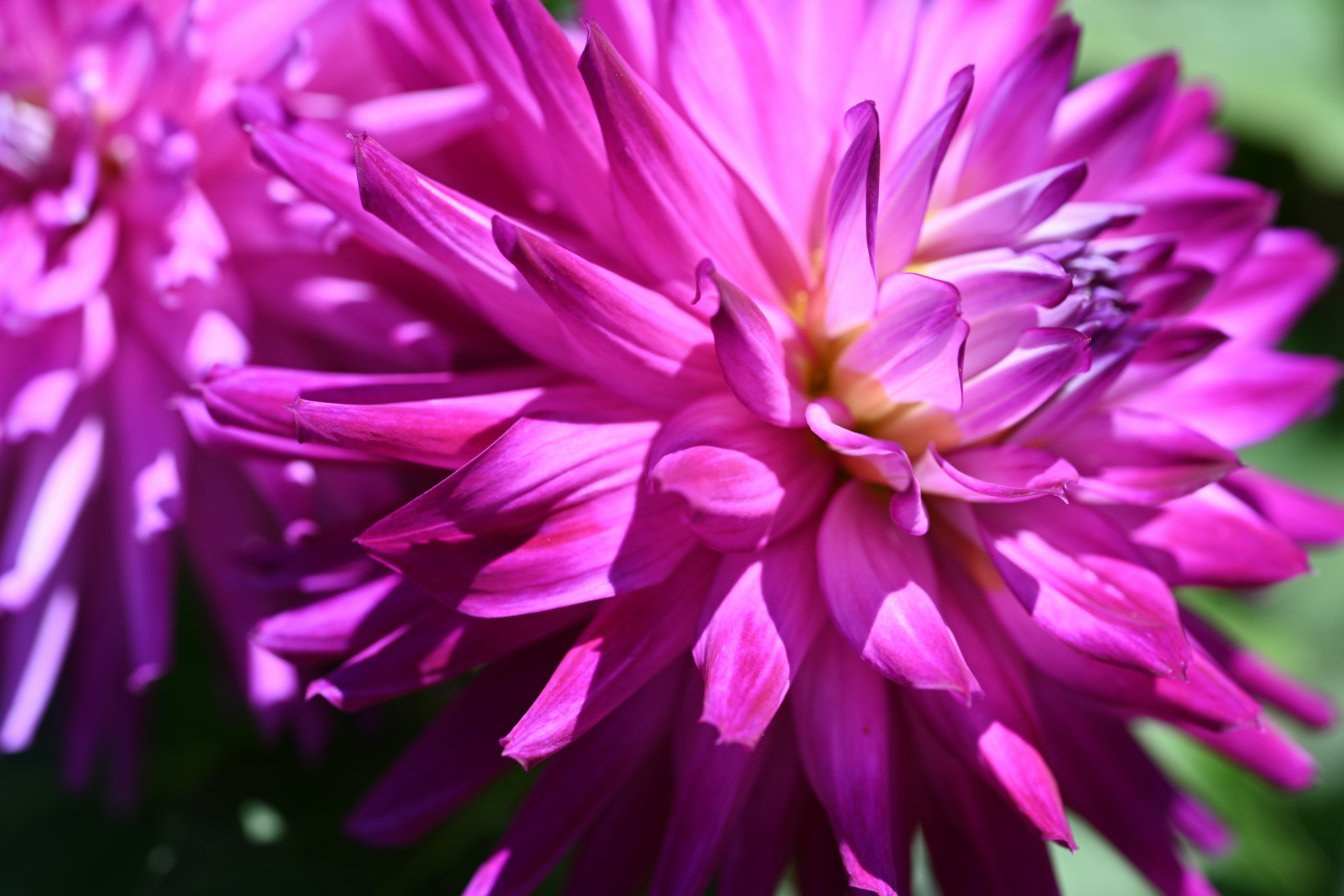 Photo by theunknownaldiaz