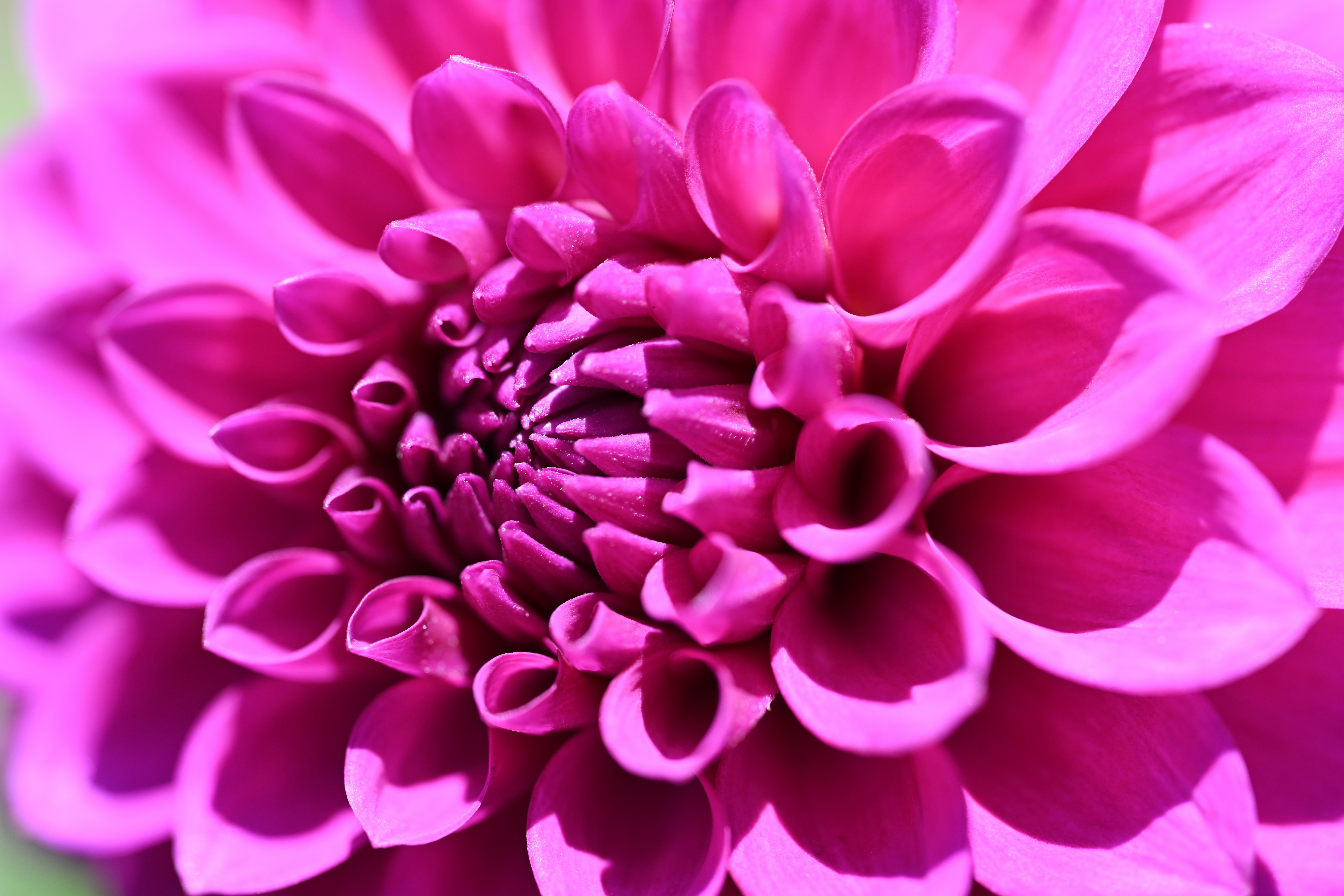 Photo by theunknownaldiaz