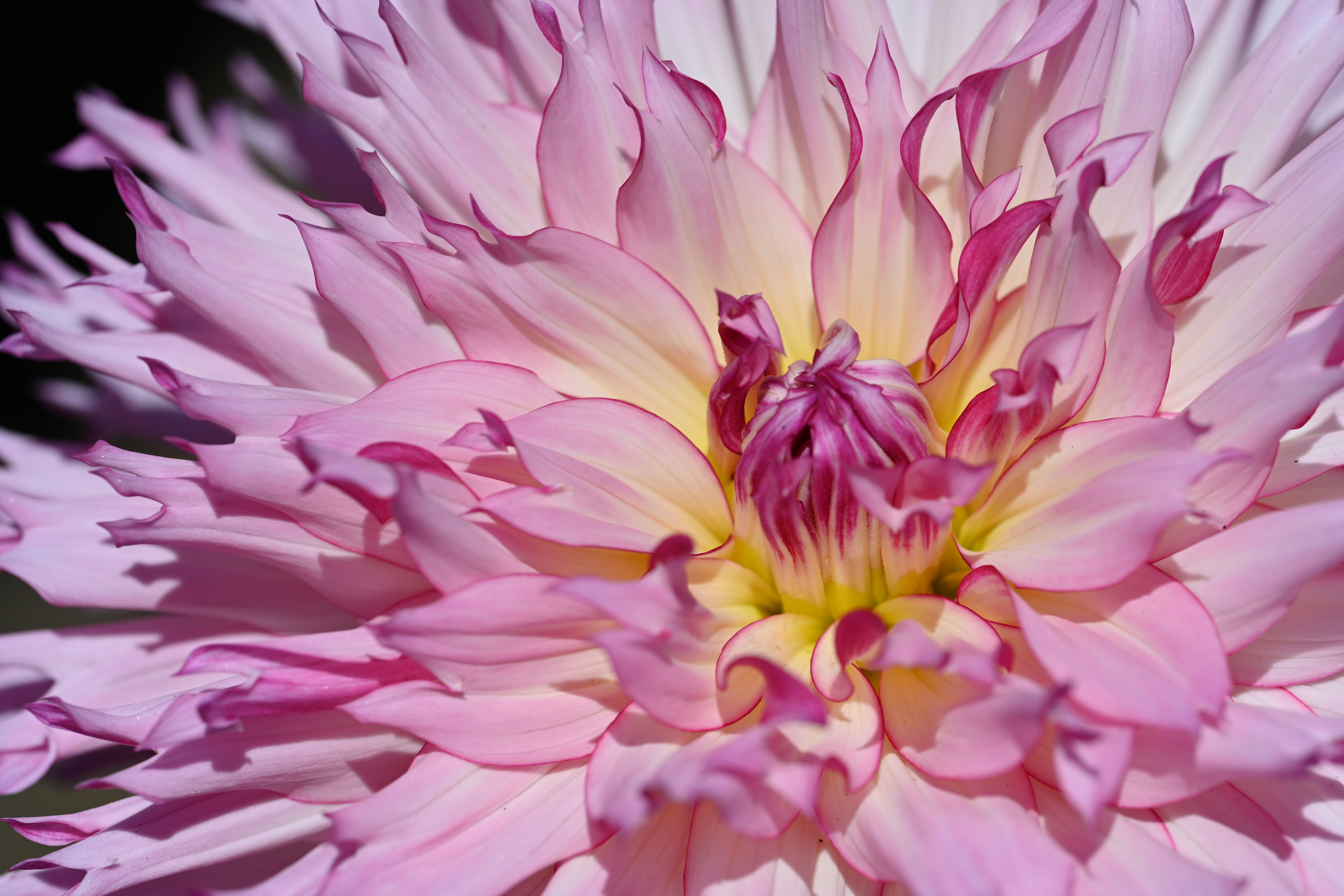 Photo by theunknownaldiaz