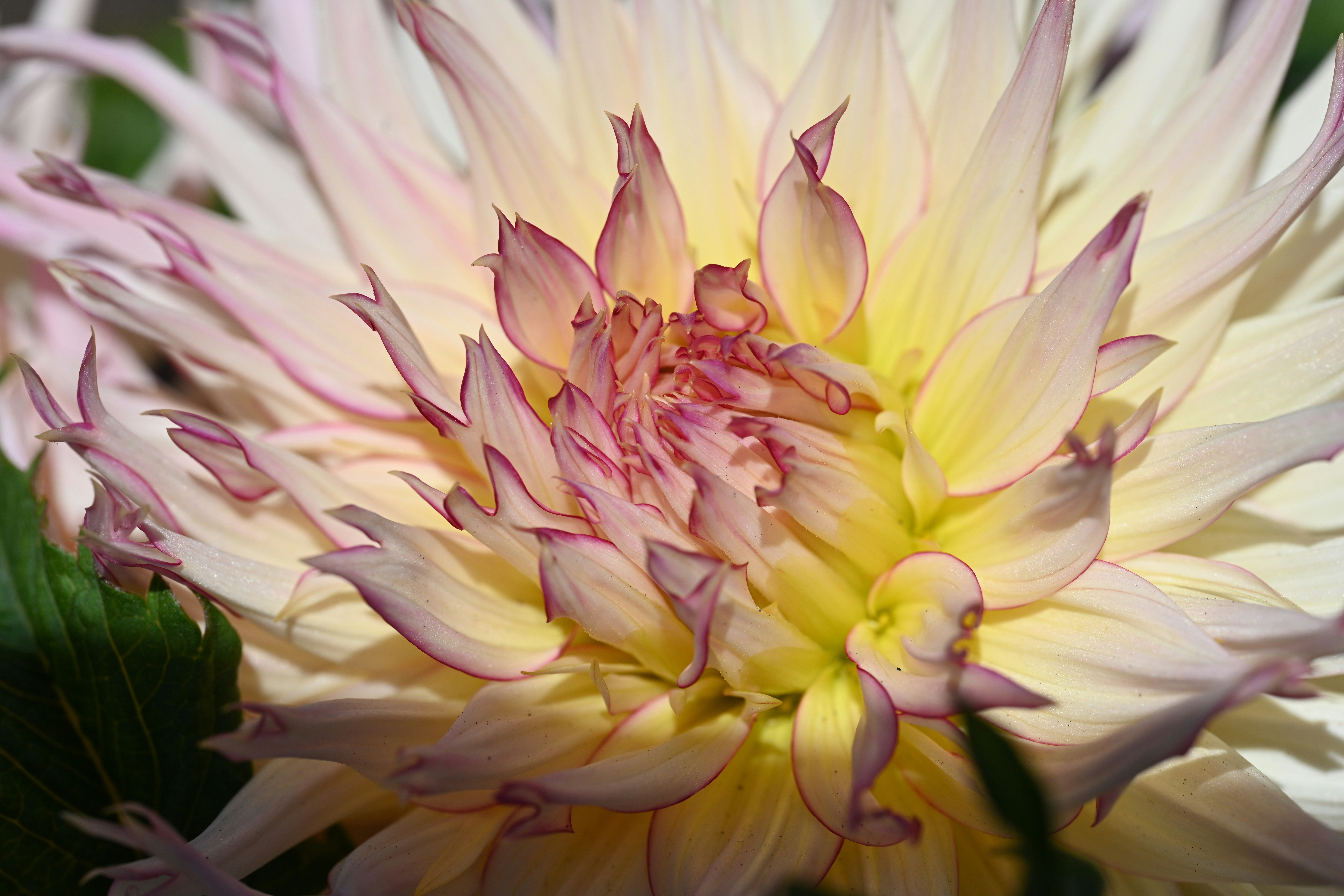 Photo by theunknownaldiaz