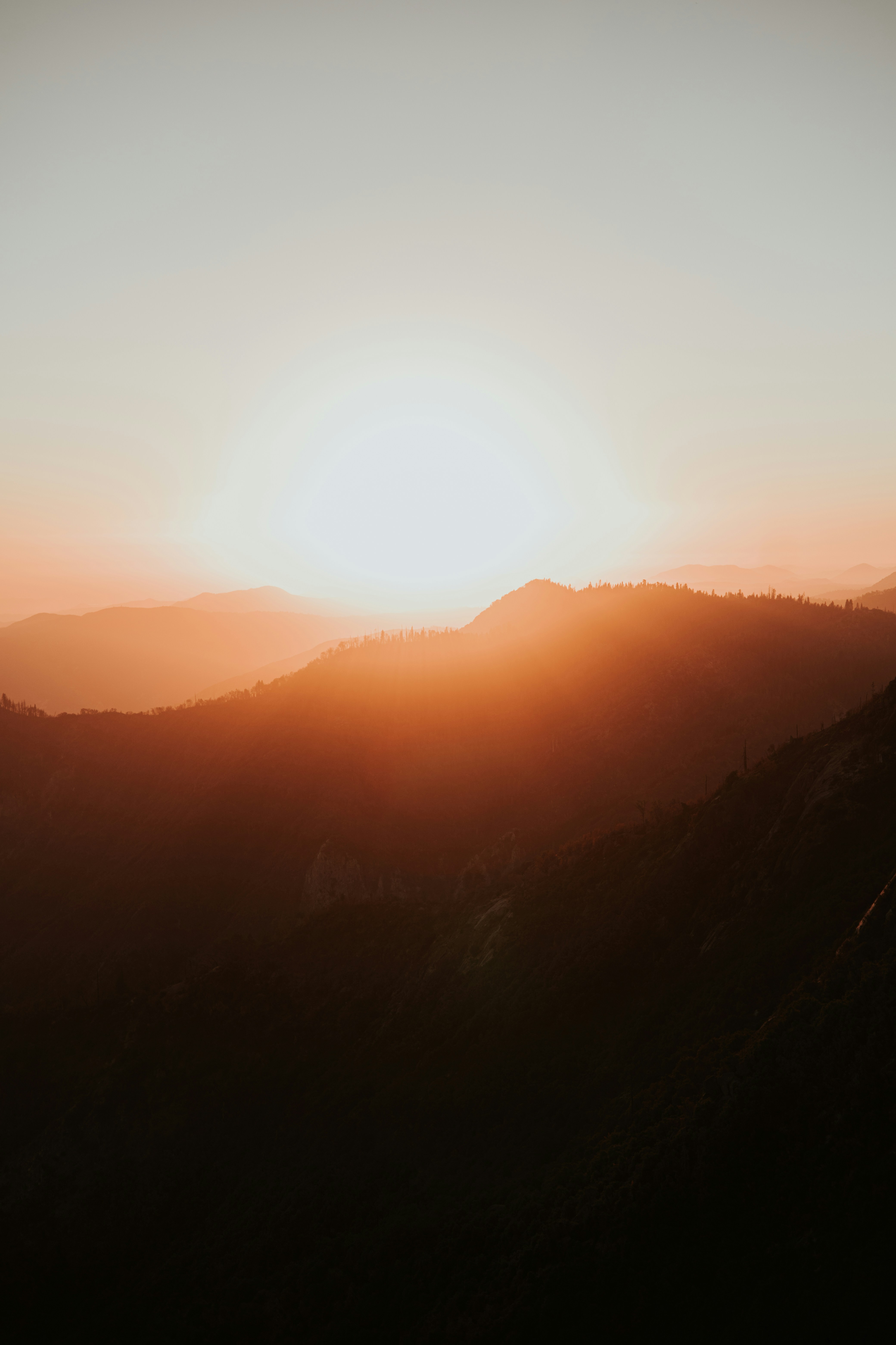 Photo by jeffersonsees