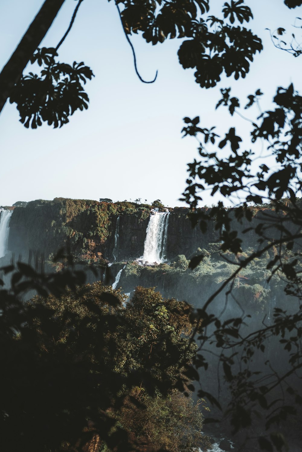 Una cascada en un bosque