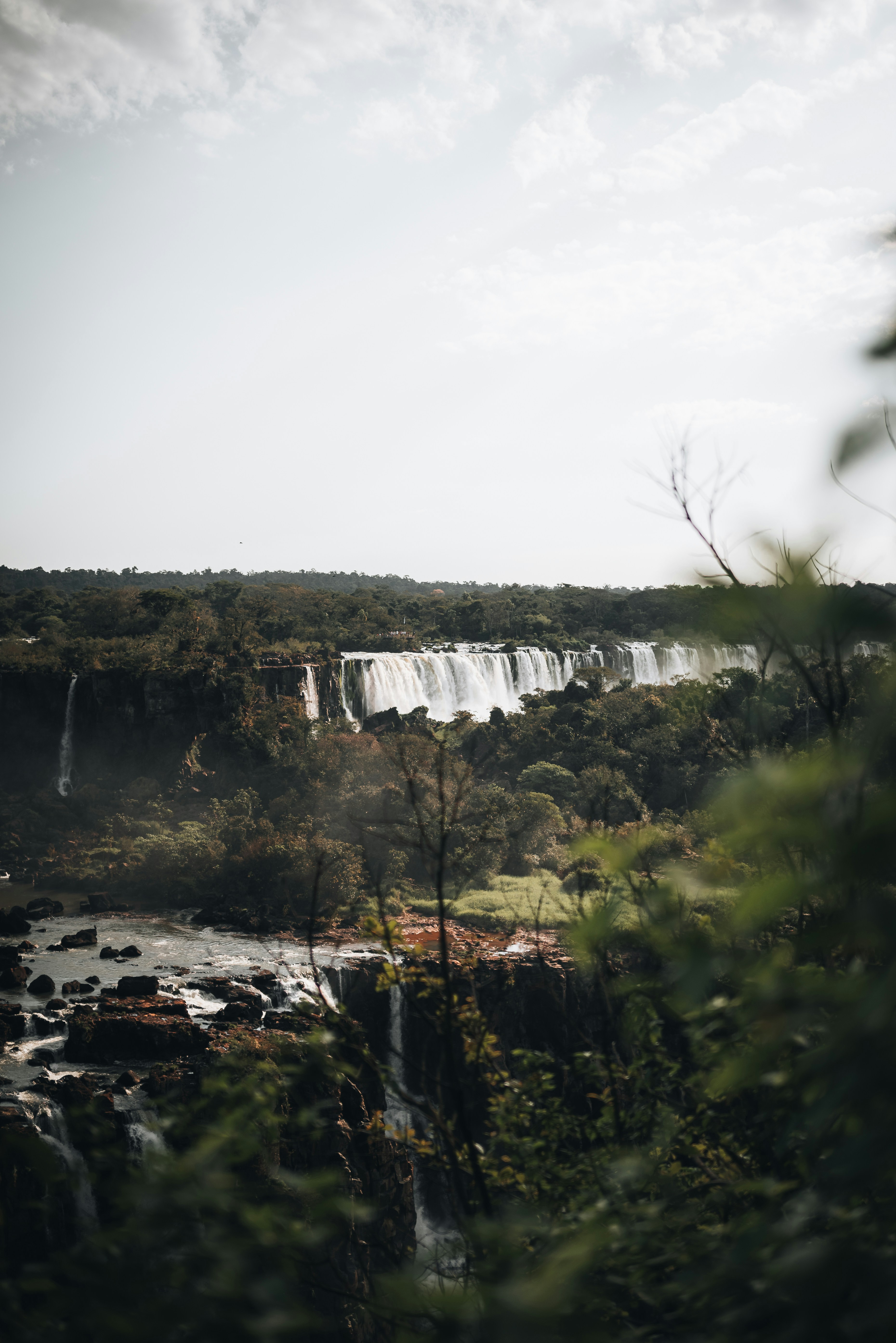 a waterfall in a forest