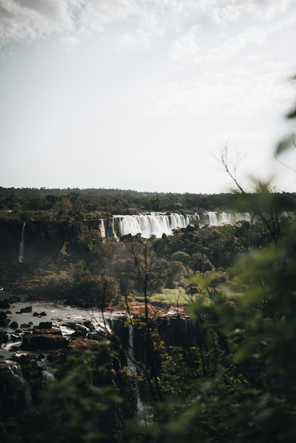 Una cascata in una foresta