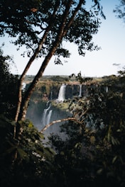 a waterfall in a forest