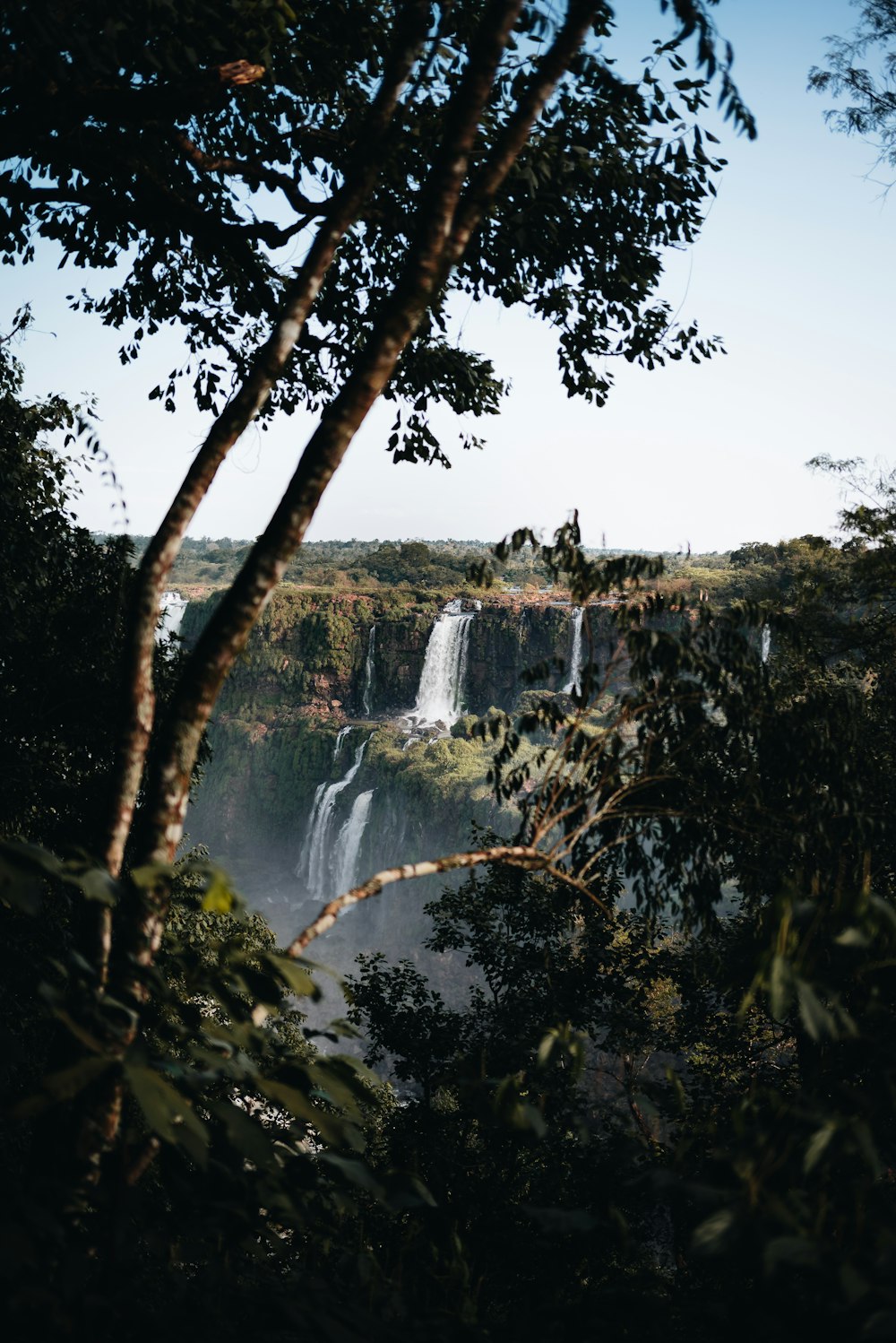 a waterfall in a forest