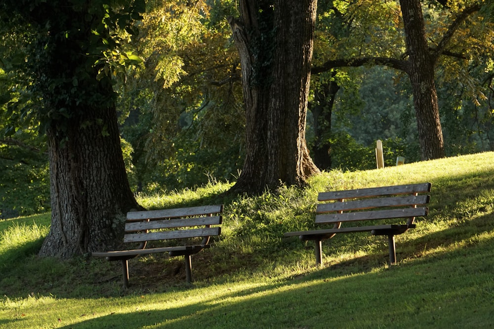 a couple of benches sit in a park