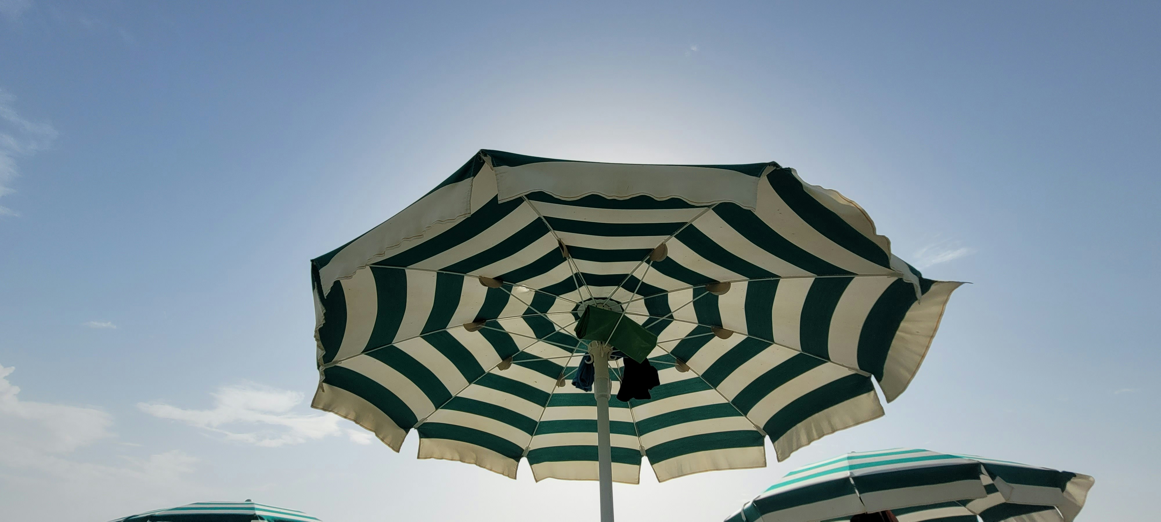 a couple of umbrellas