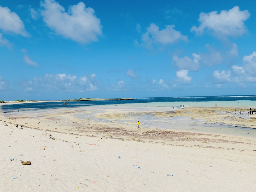 a beach with people on it